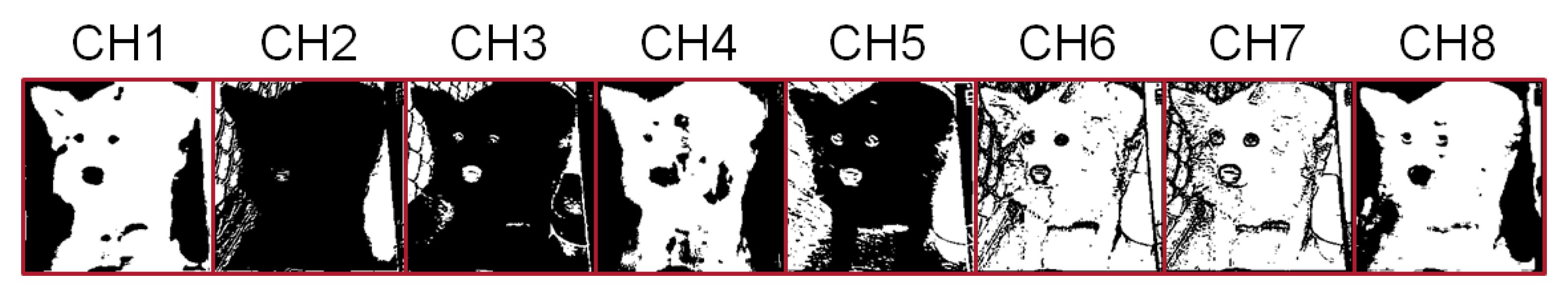 Sensors 21 07468 g001