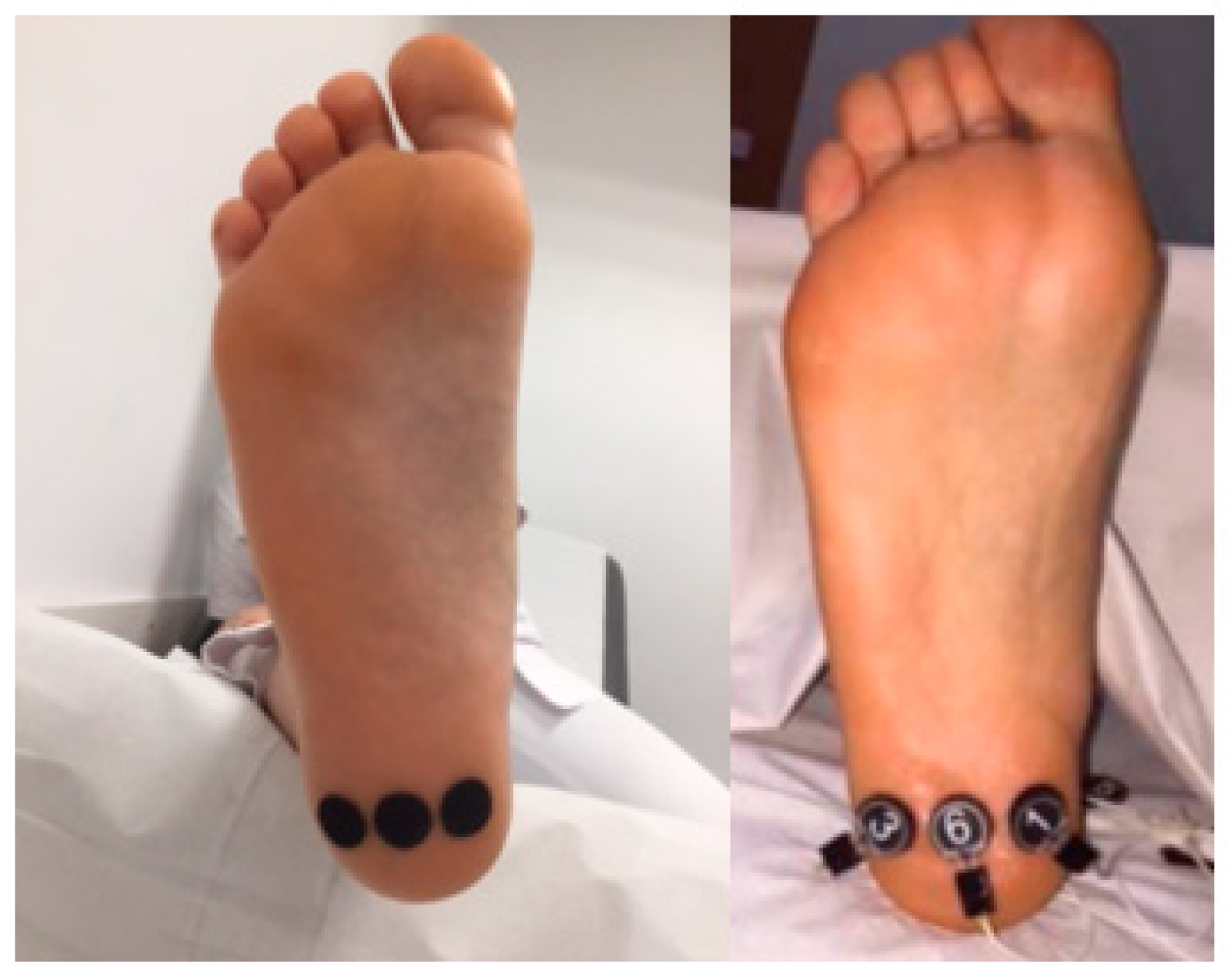 Sensors 21 07476 g001 Sensors 21 07476 g001