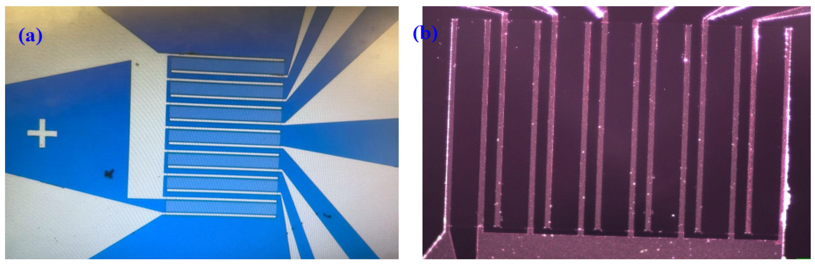 Sensors 21 07491 g002