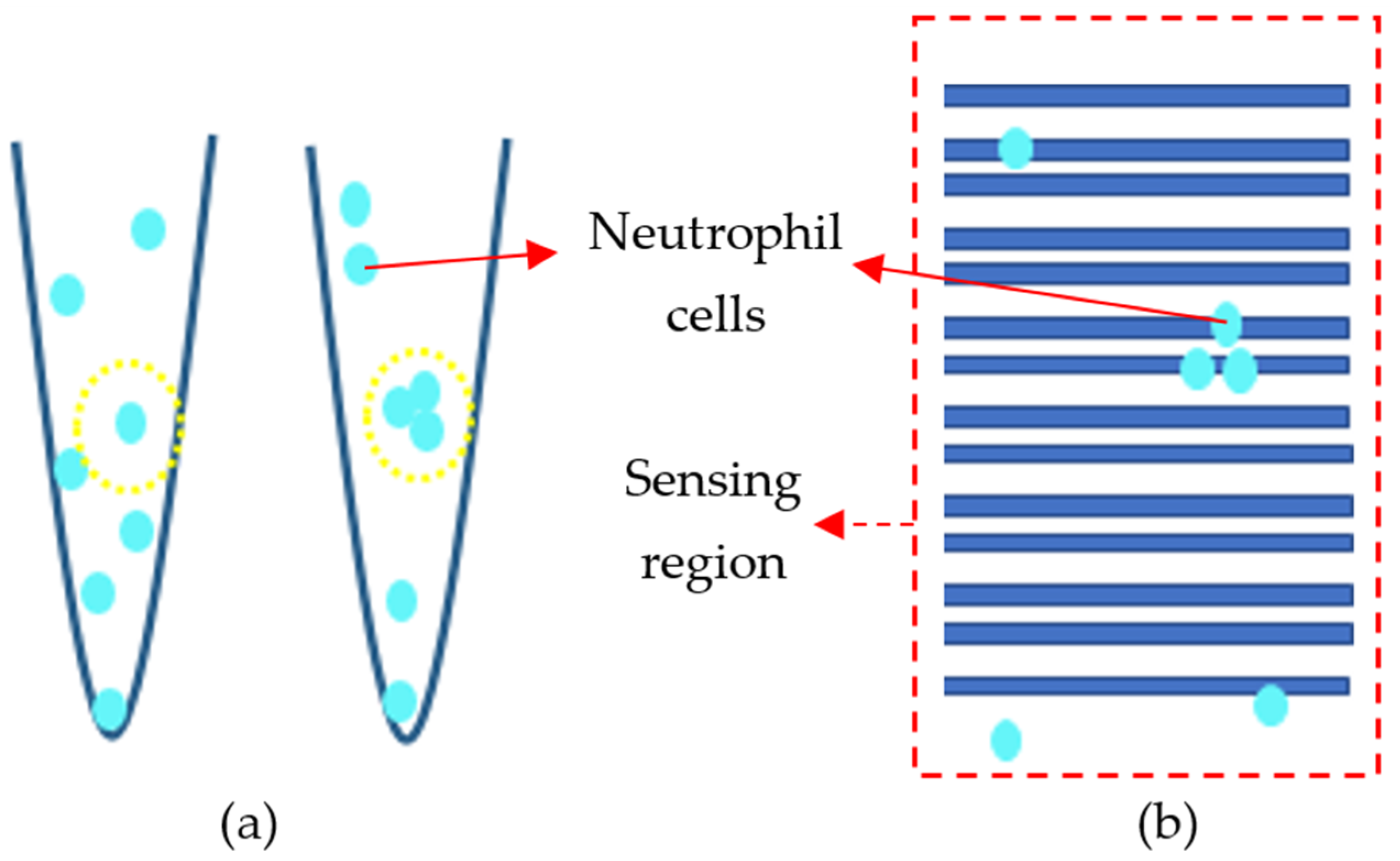 Sensors 21 07491 g016