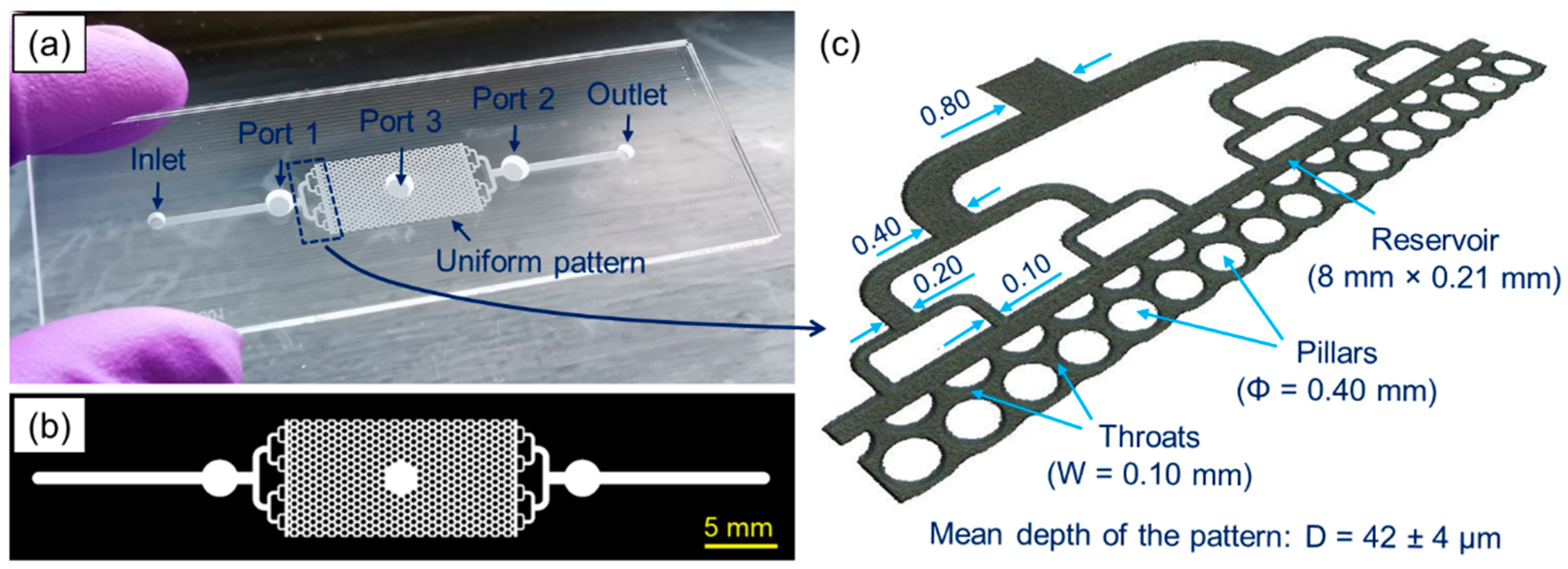 Sensors 21 07493 g001