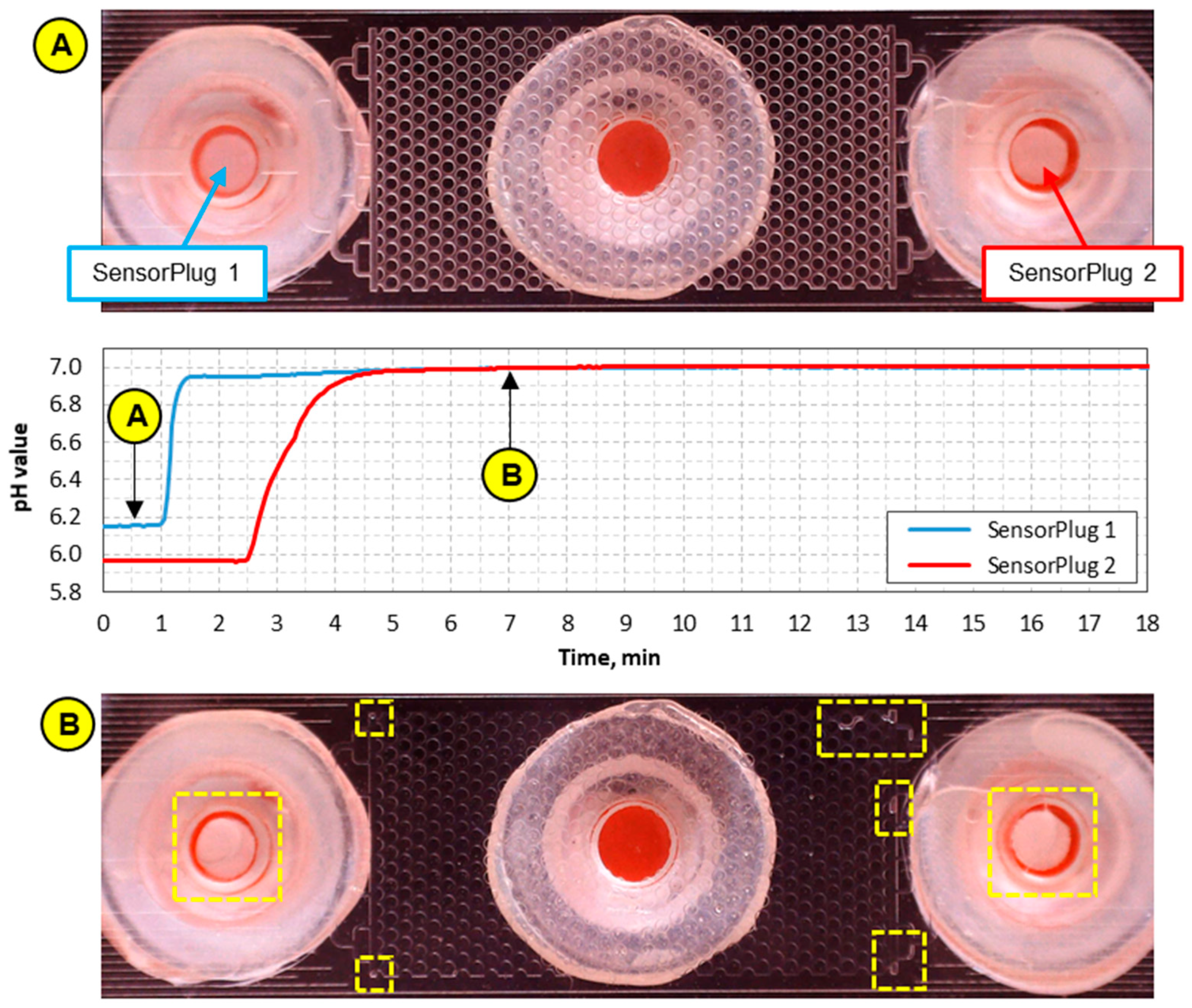 Sensors 21 07493 g006