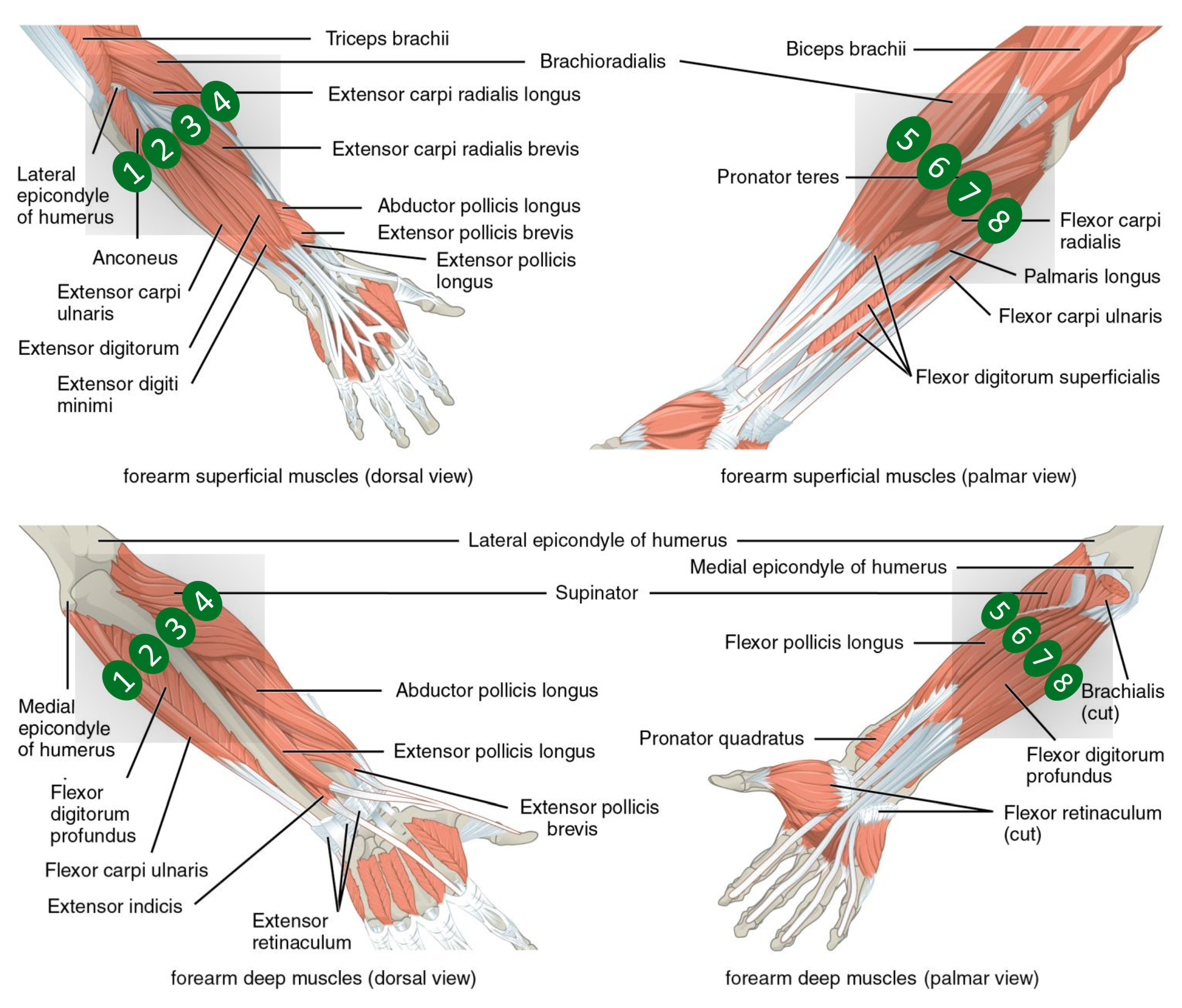 Sensors 21 07500 g002