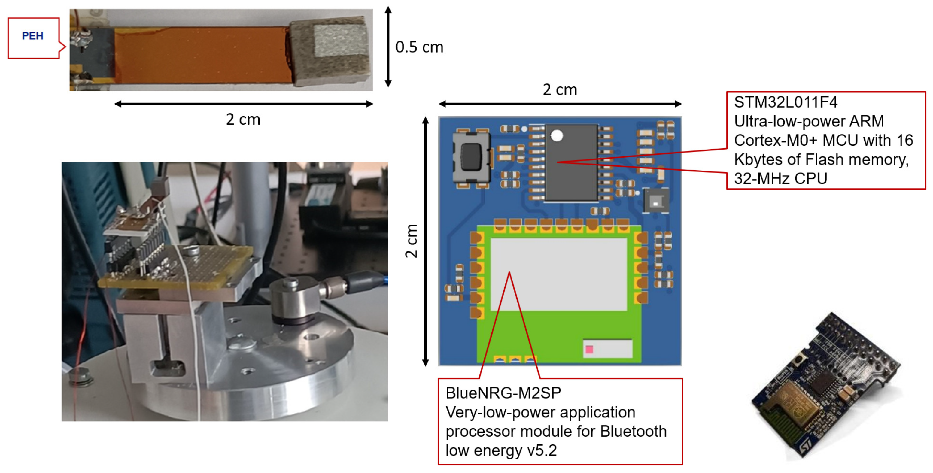 Sensors 21 07503 g007