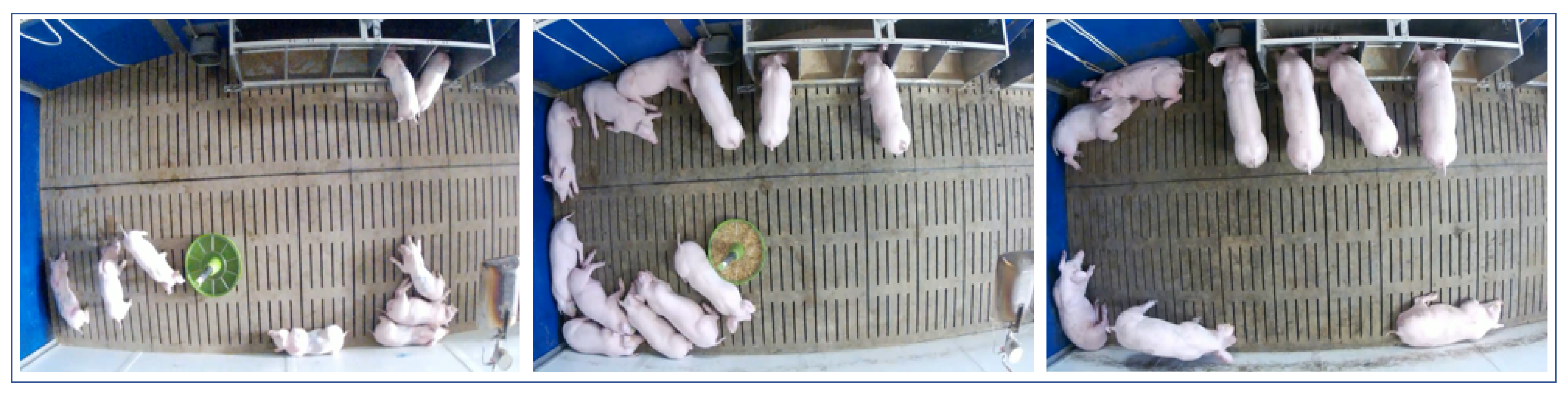 Sensors 21 07512 g002