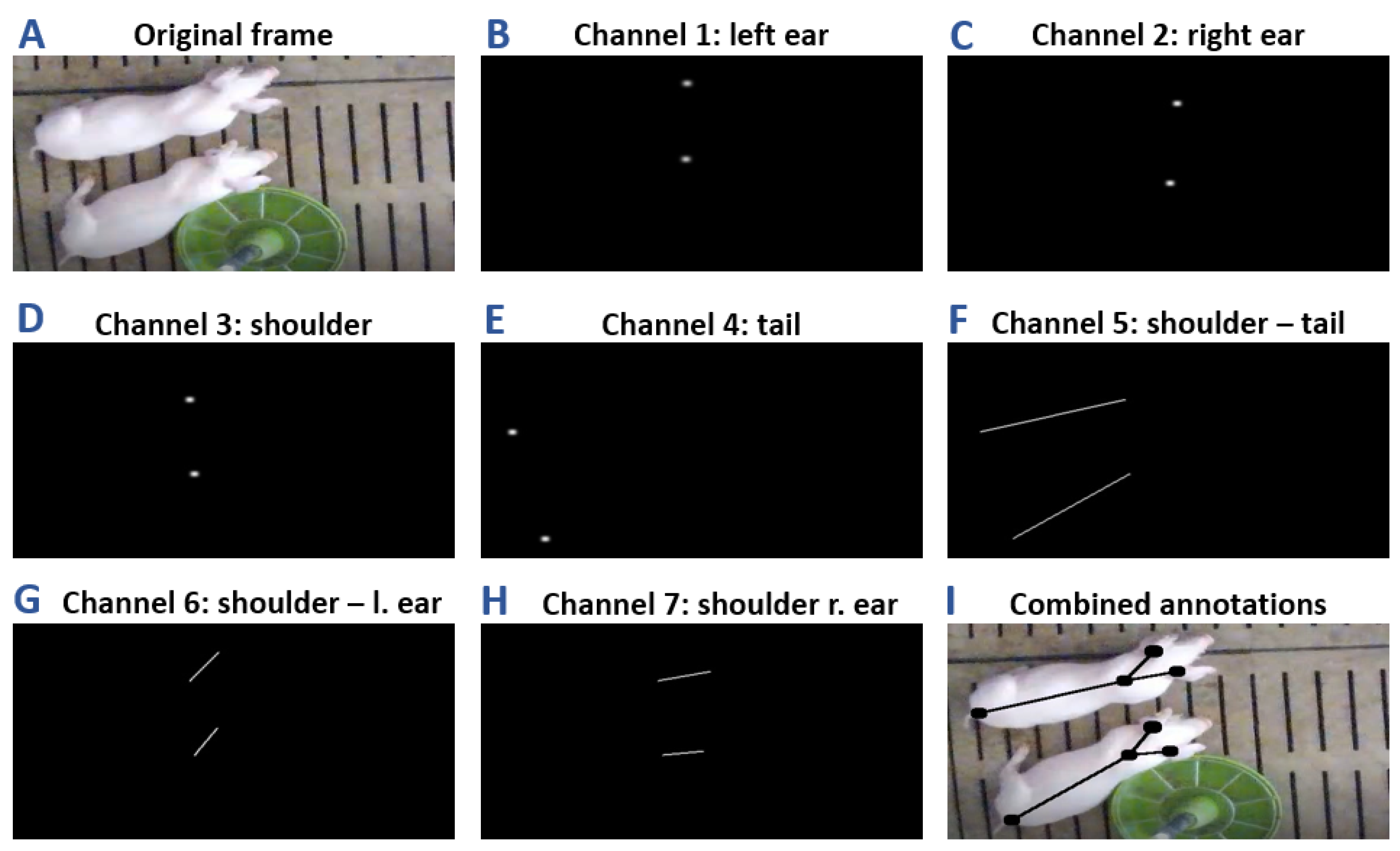 Sensors 21 07512 g003
