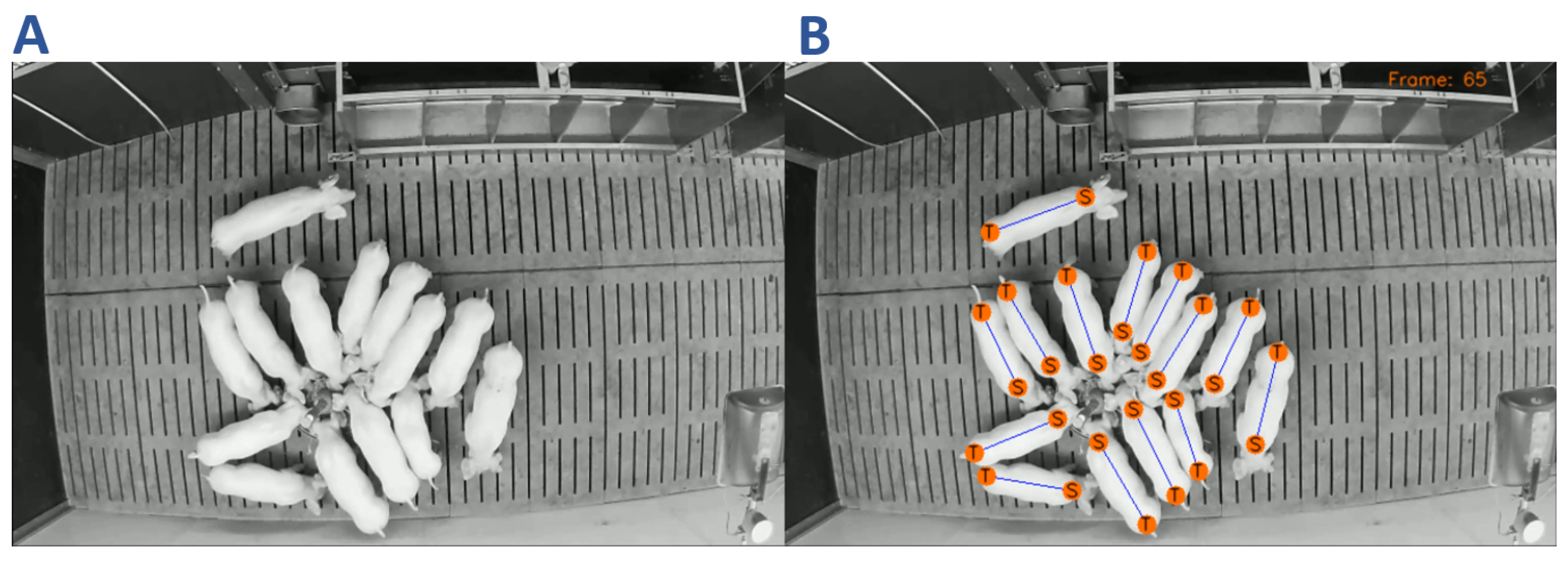 Sensors 21 07512 g005