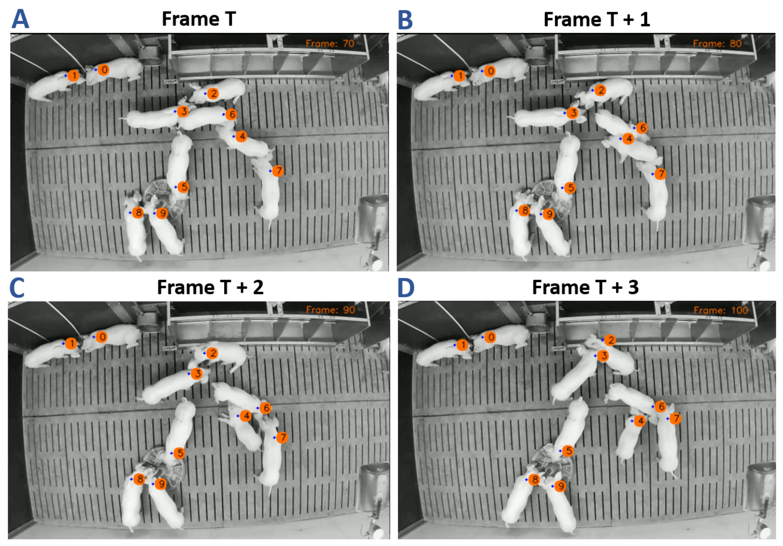 Sensors 21 07512 g006