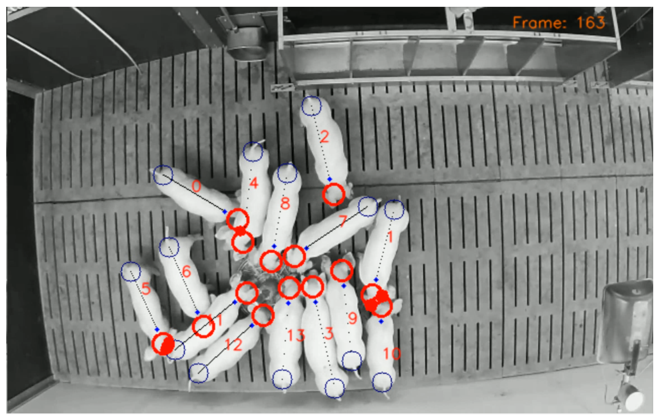 Sensors 21 07512 g007