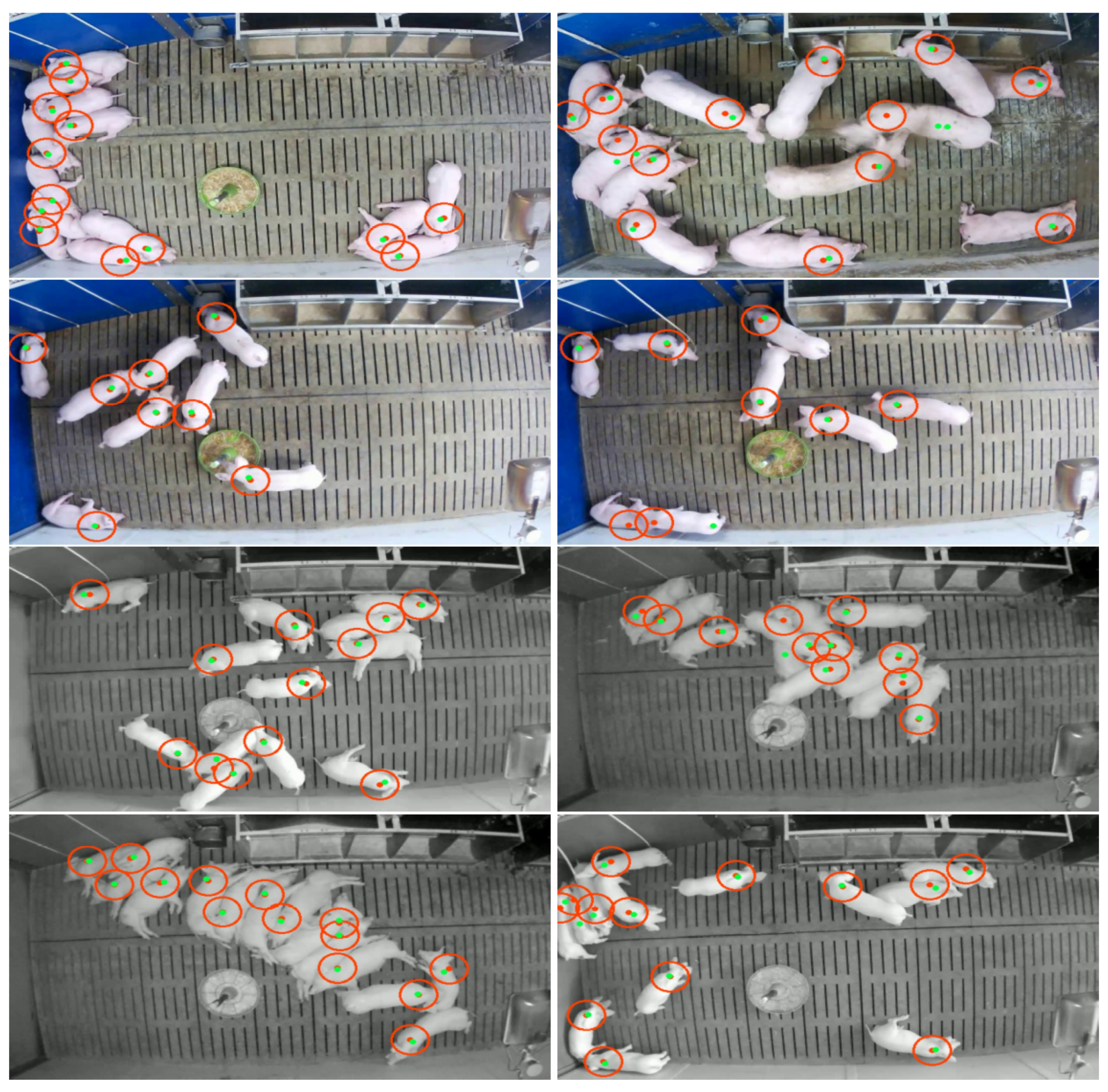 Sensors 21 07512 g008