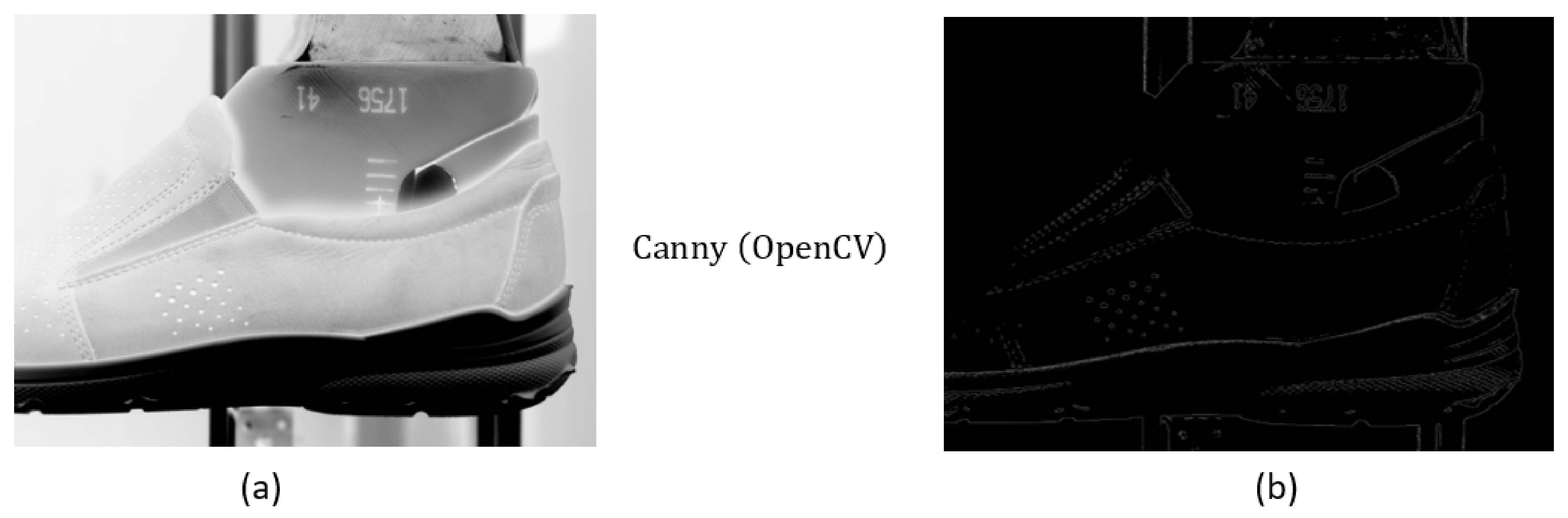 Sensors 21 07531 g006