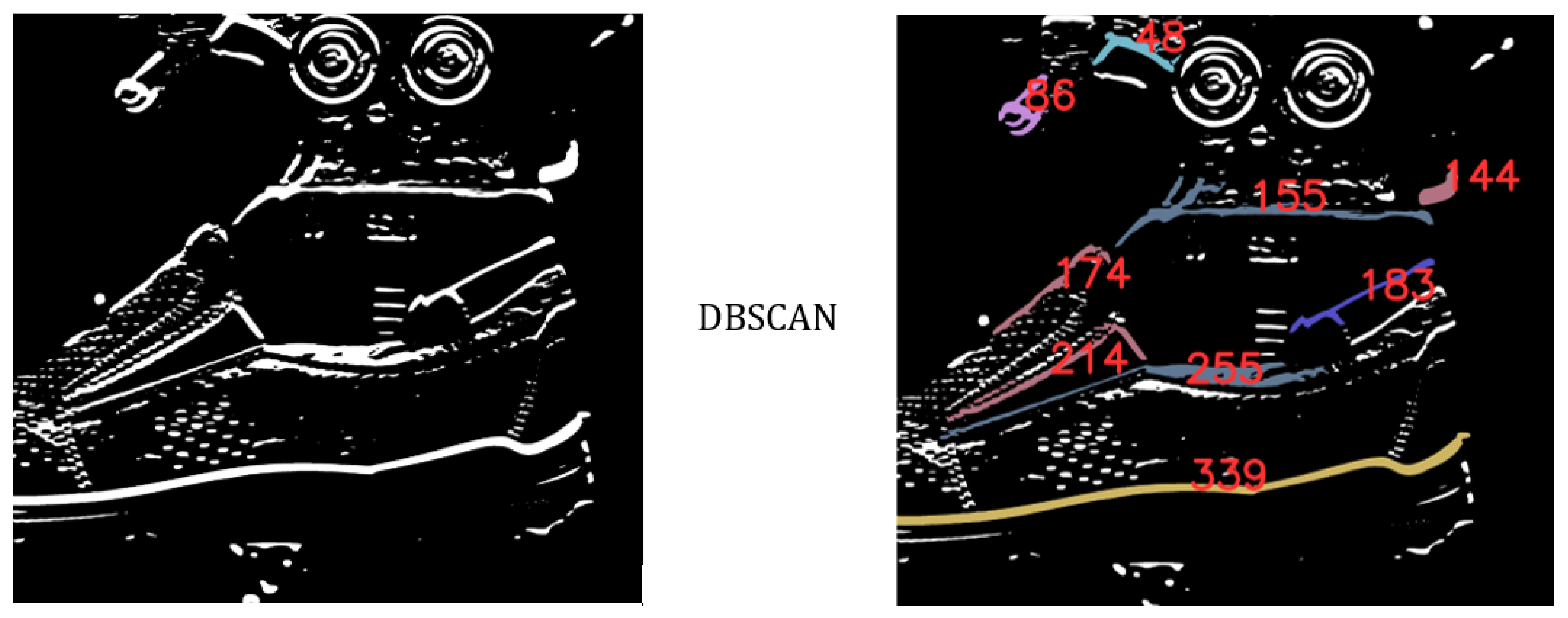 Sensors 21 07531 g007