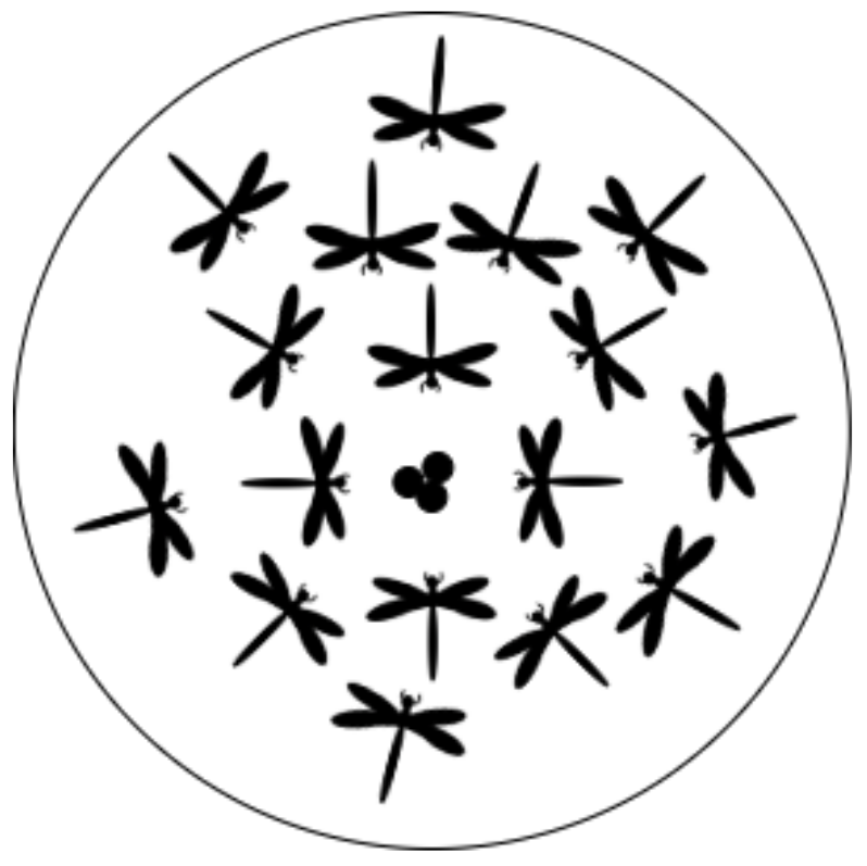 Sensors 21 07542 g002