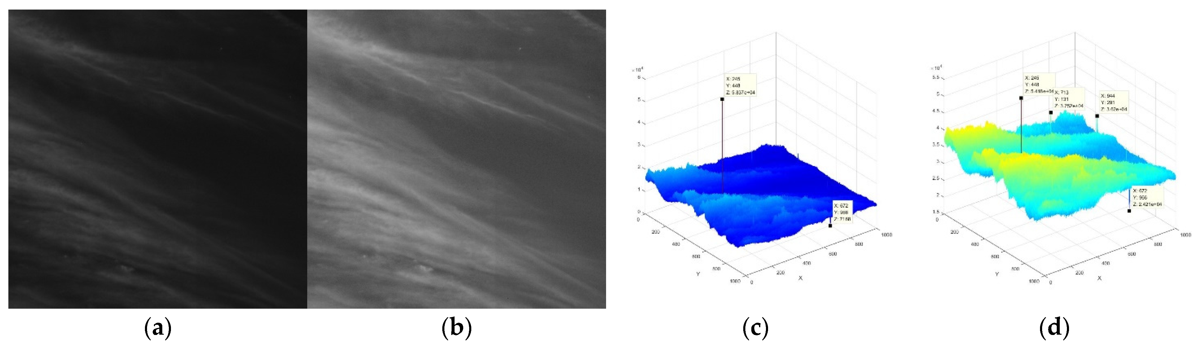 Sensors 21 07547 g002