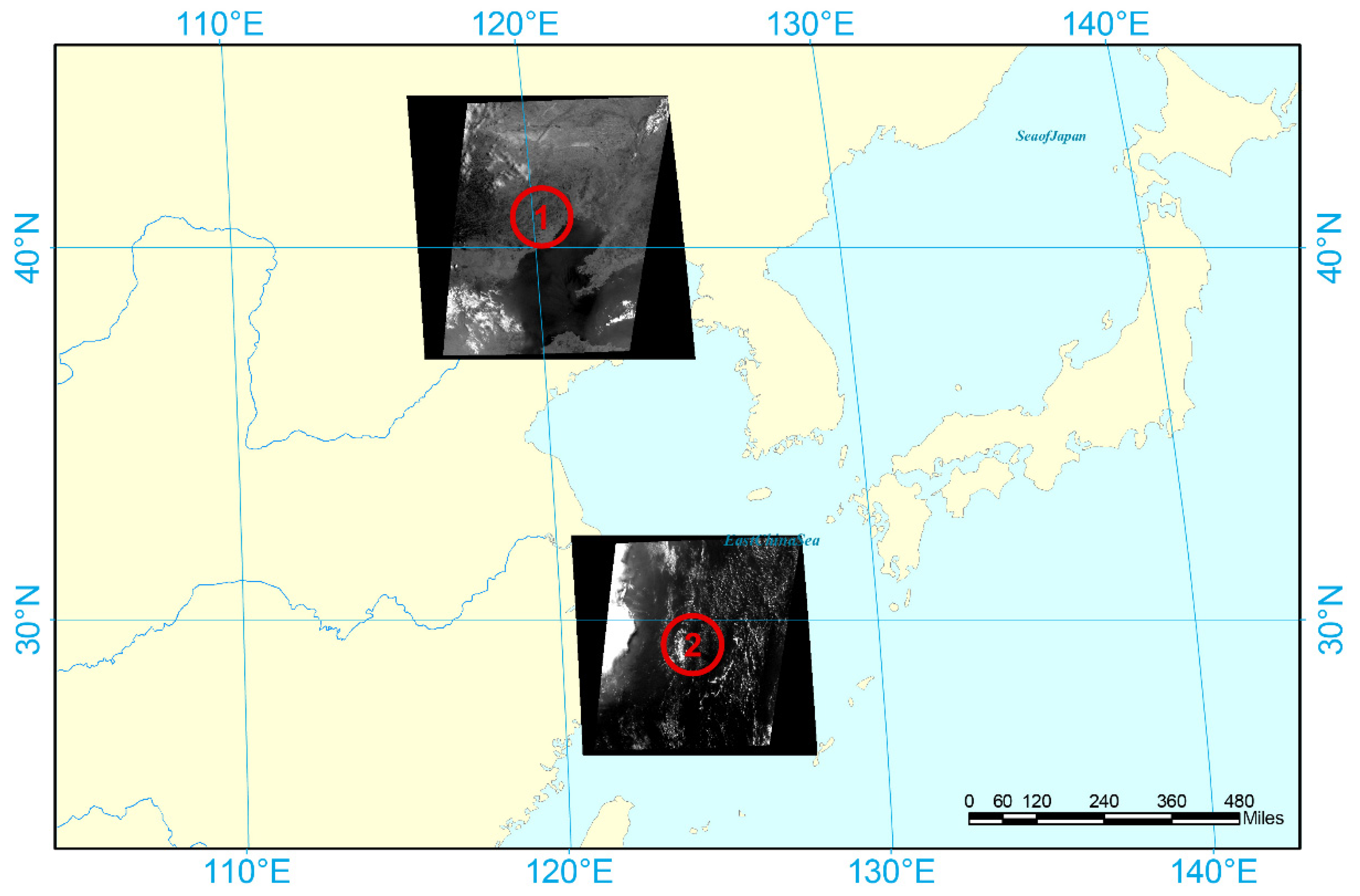 Sensors 21 07547 g008