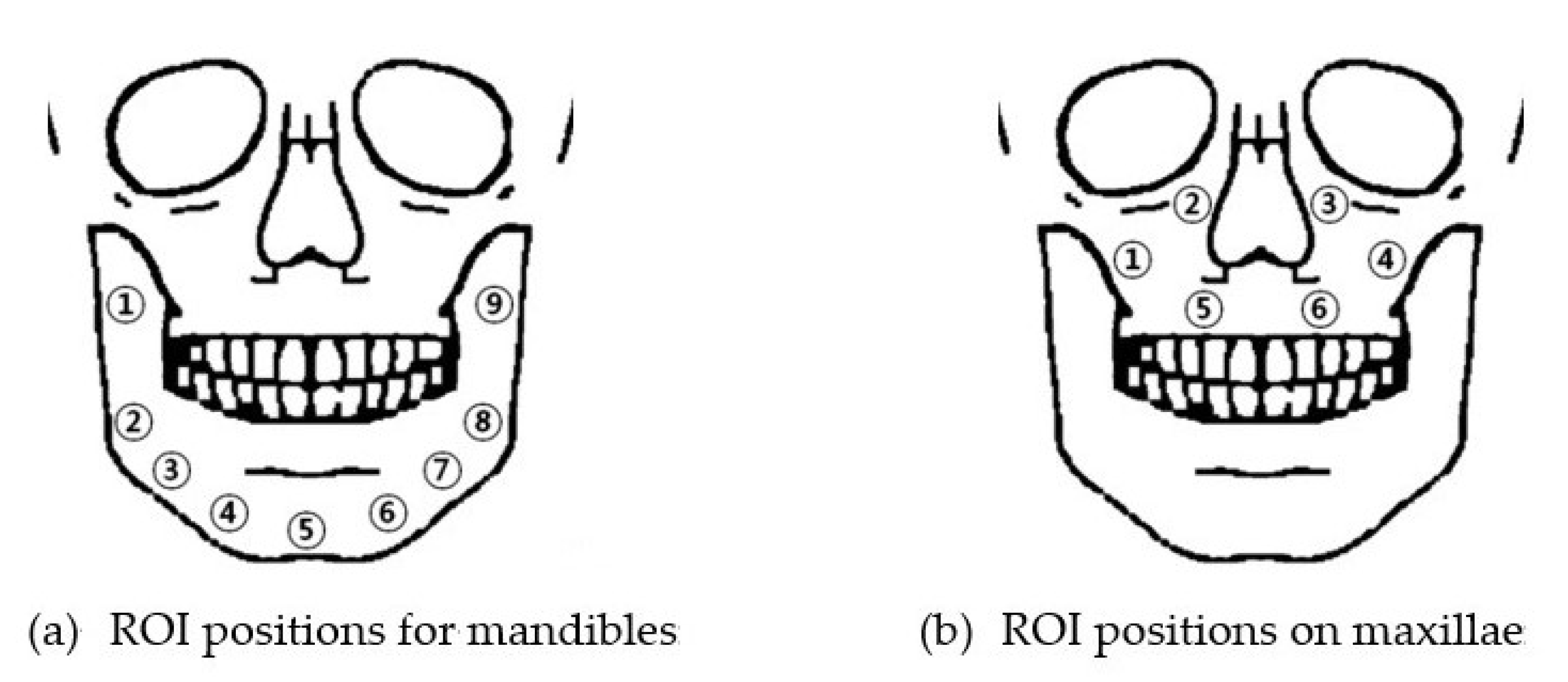 Sensors 21 07552 g004