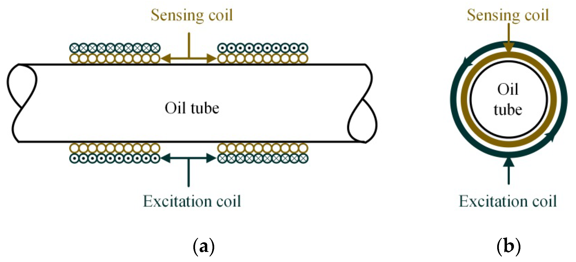 Sensors 21 07556 g001