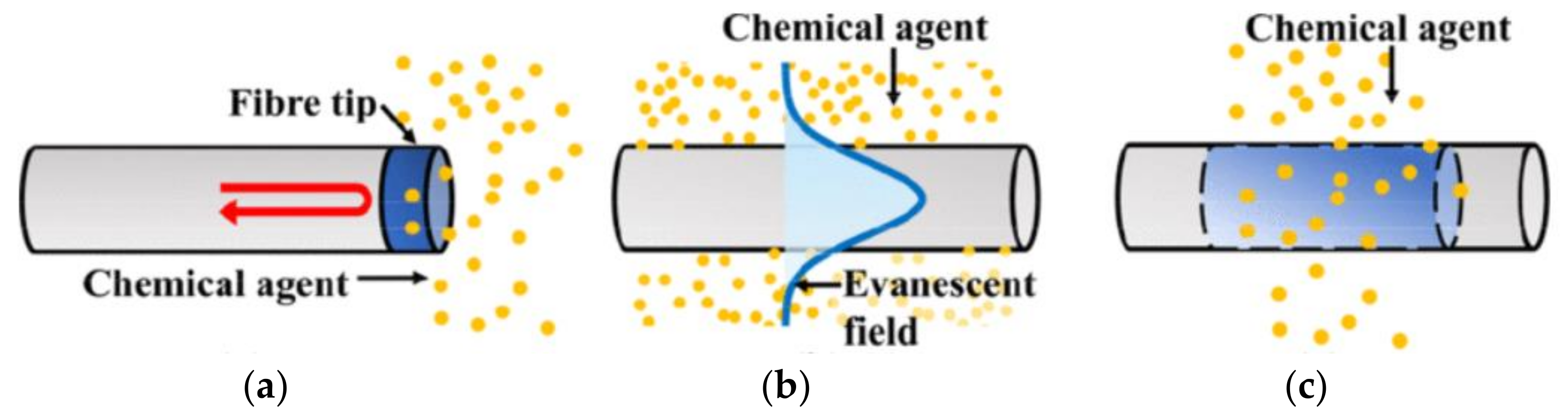 Sensors 21 07563 g005