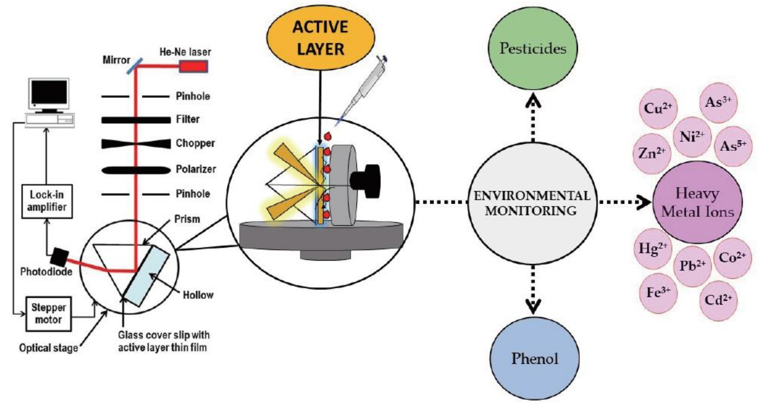 Sensors 21 07563 g007
