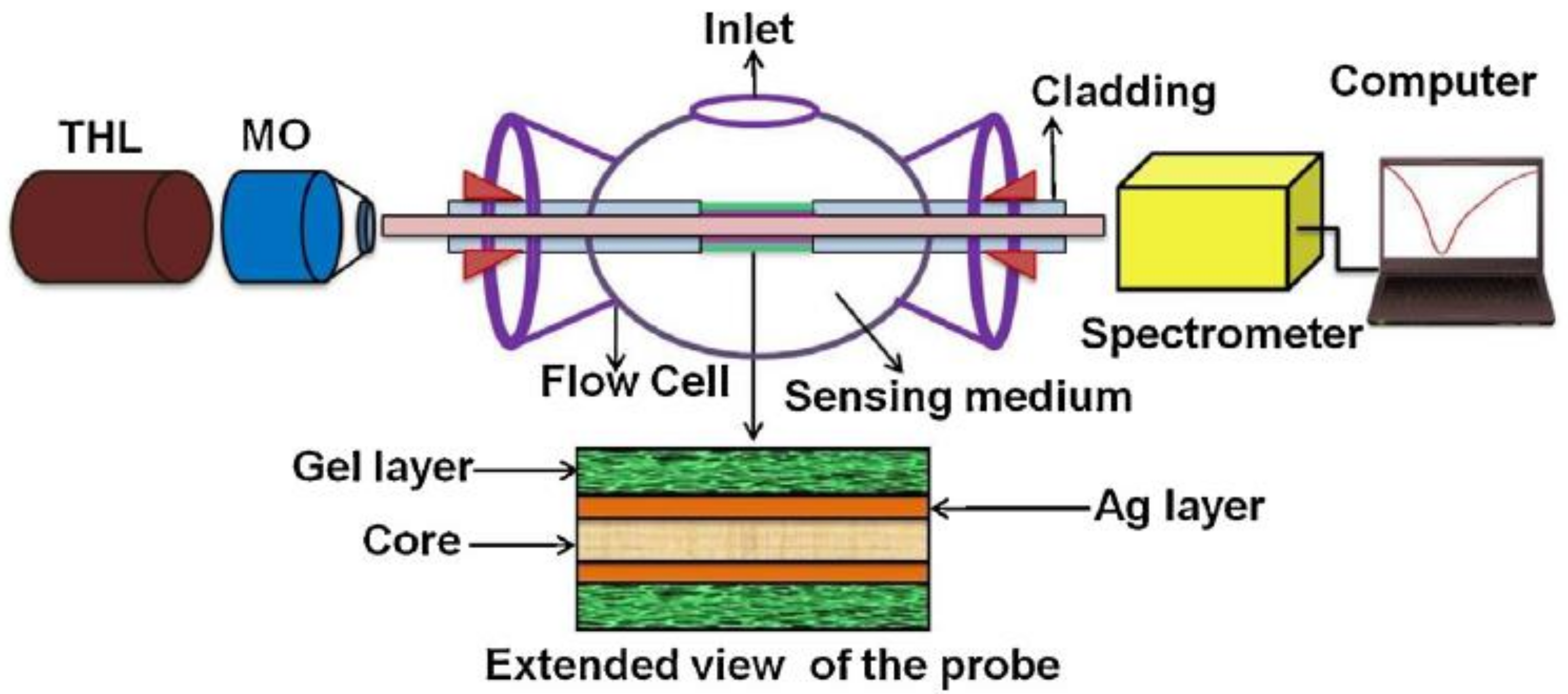 Sensors 21 07563 g011