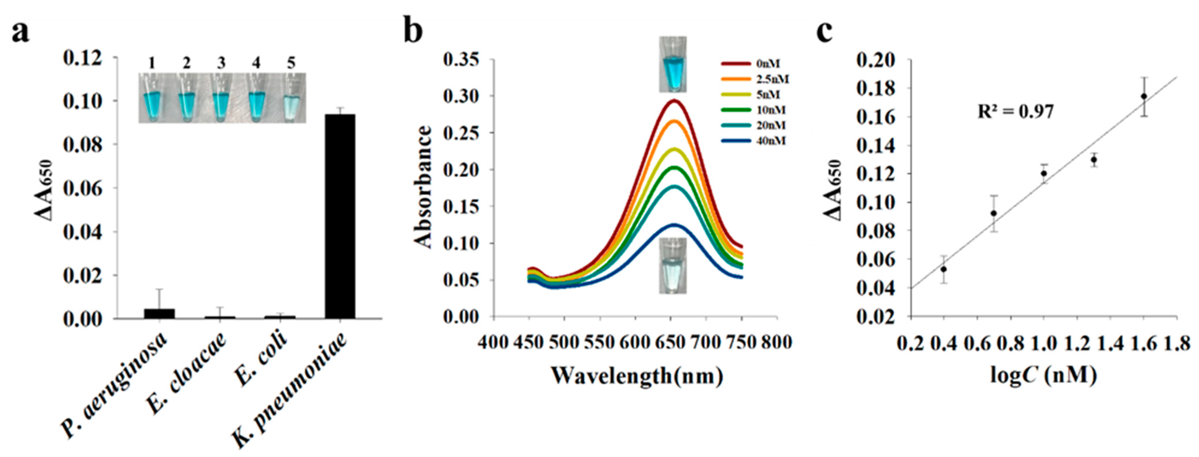 Sensors 21 07567 g006