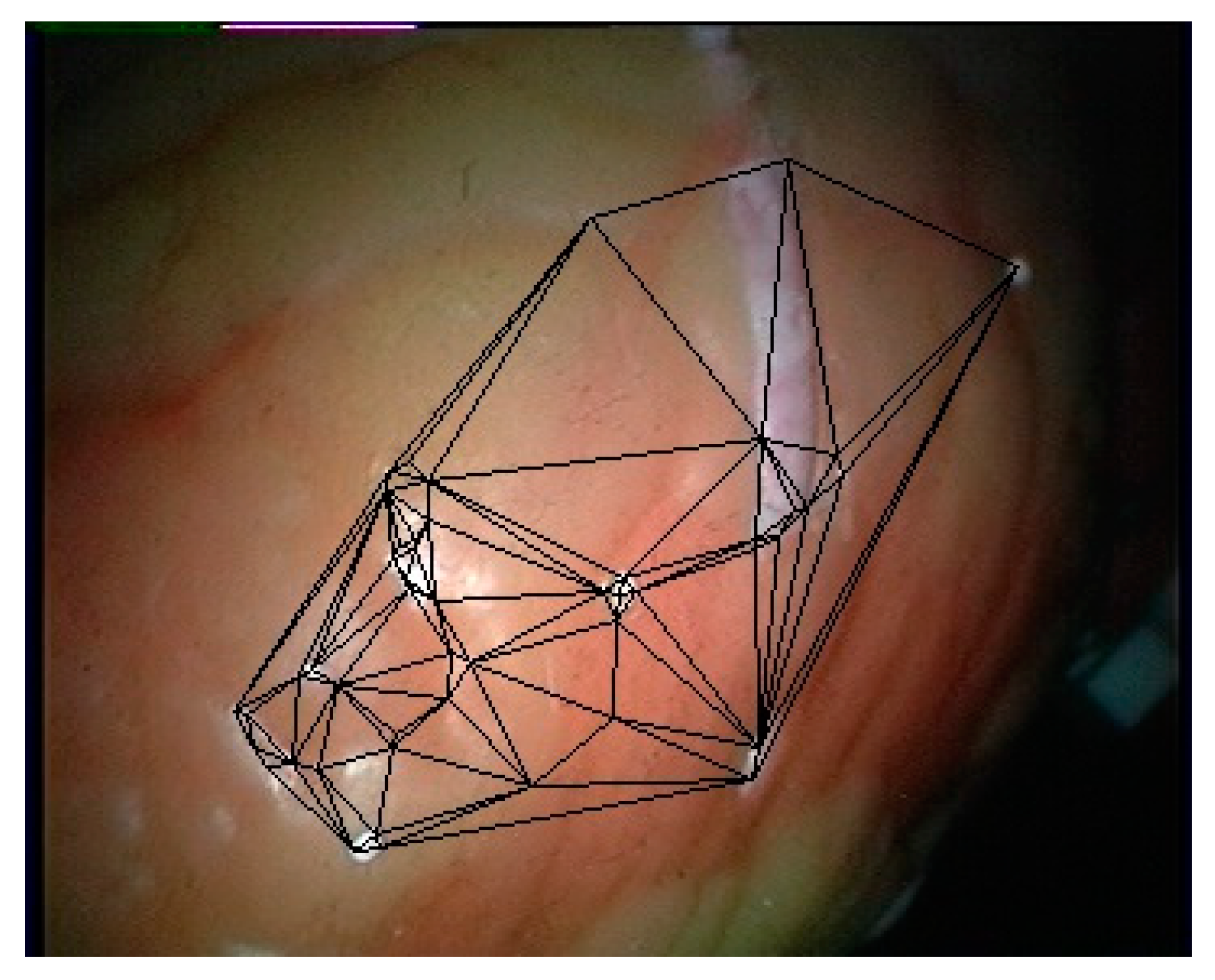 Sensors 21 07570 g011