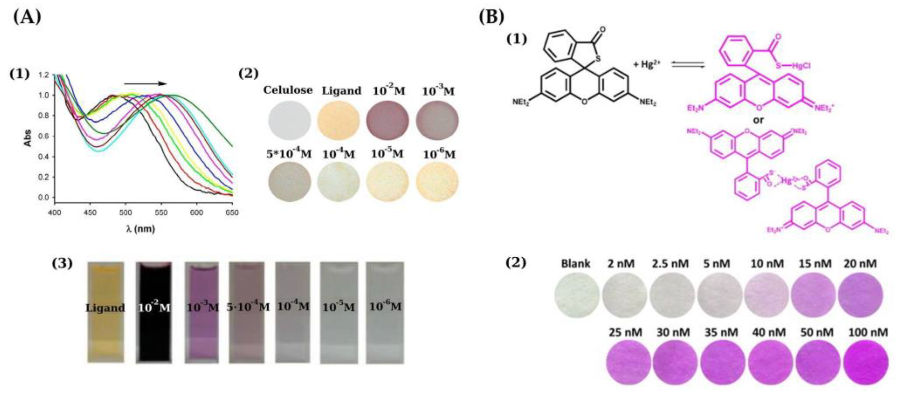 Sensors 21 07571 g003