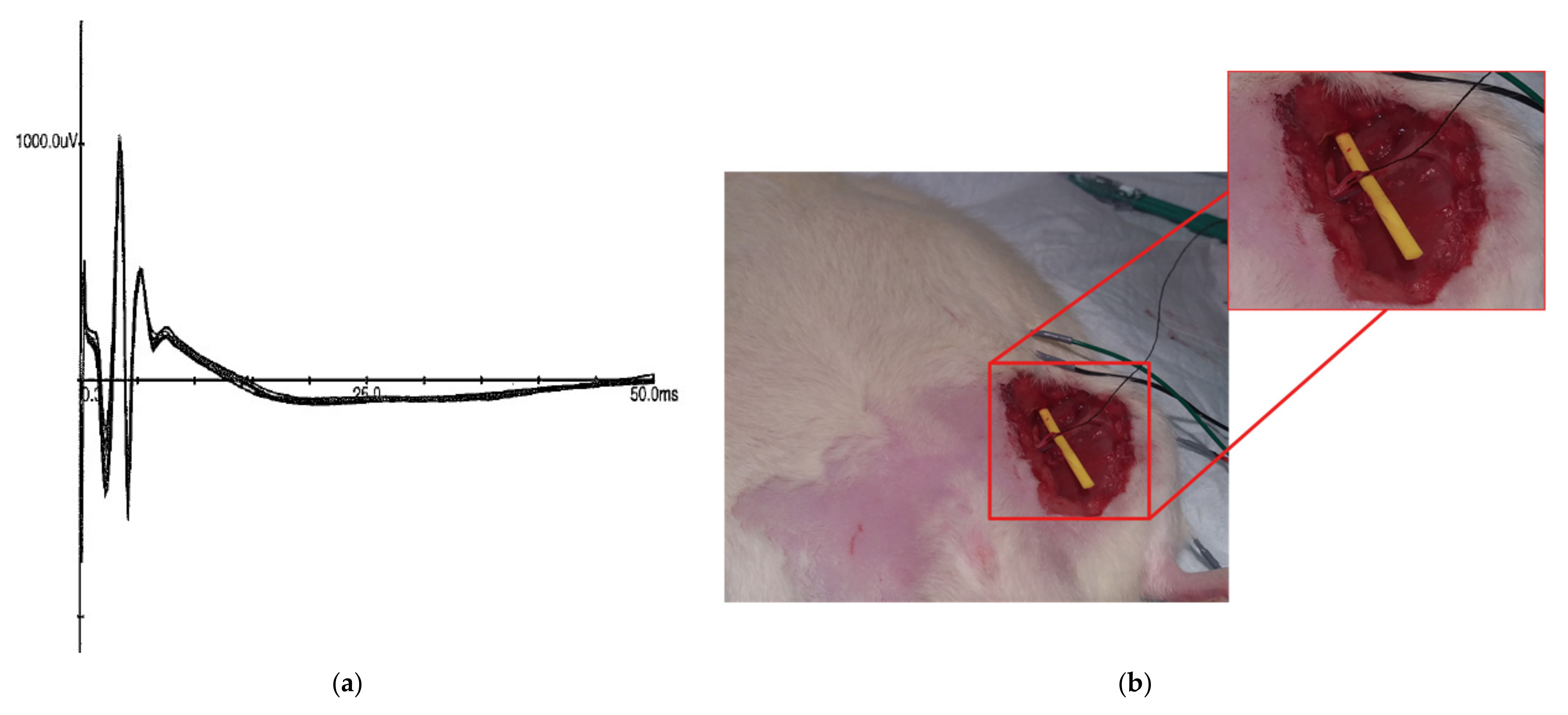 Sensors 21 07581 g007