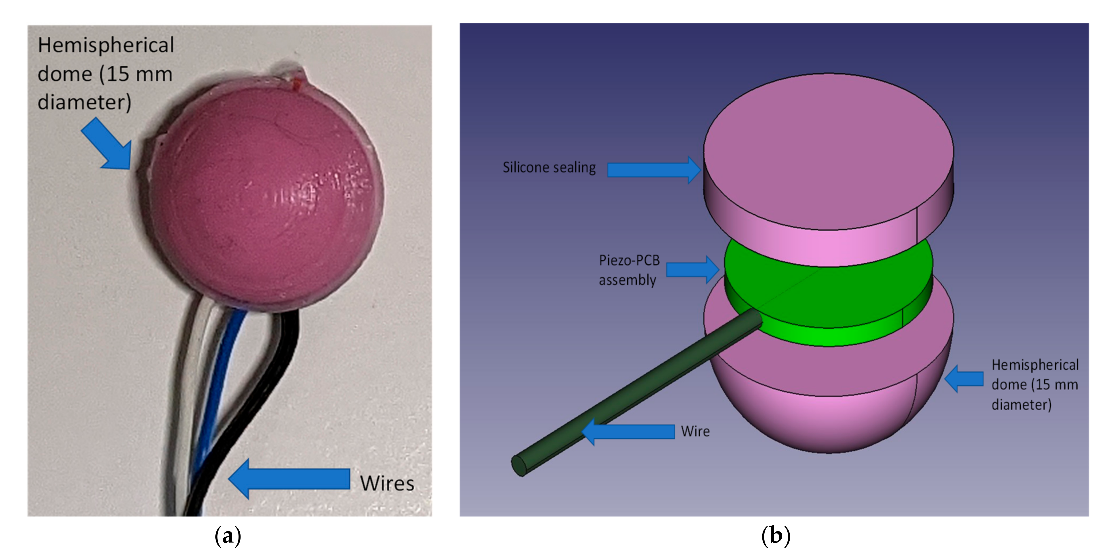 Sensors 21 07586 g001
