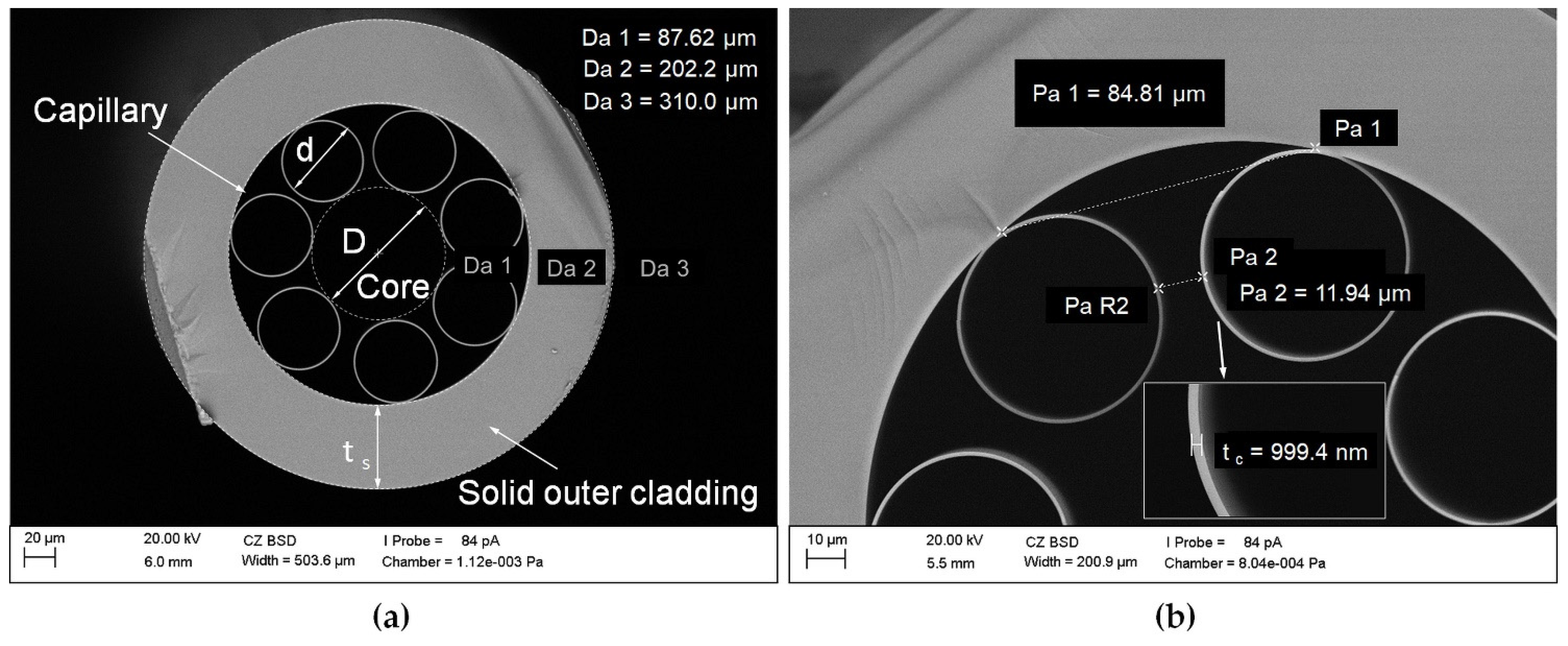 Sensors 21 07591 g001