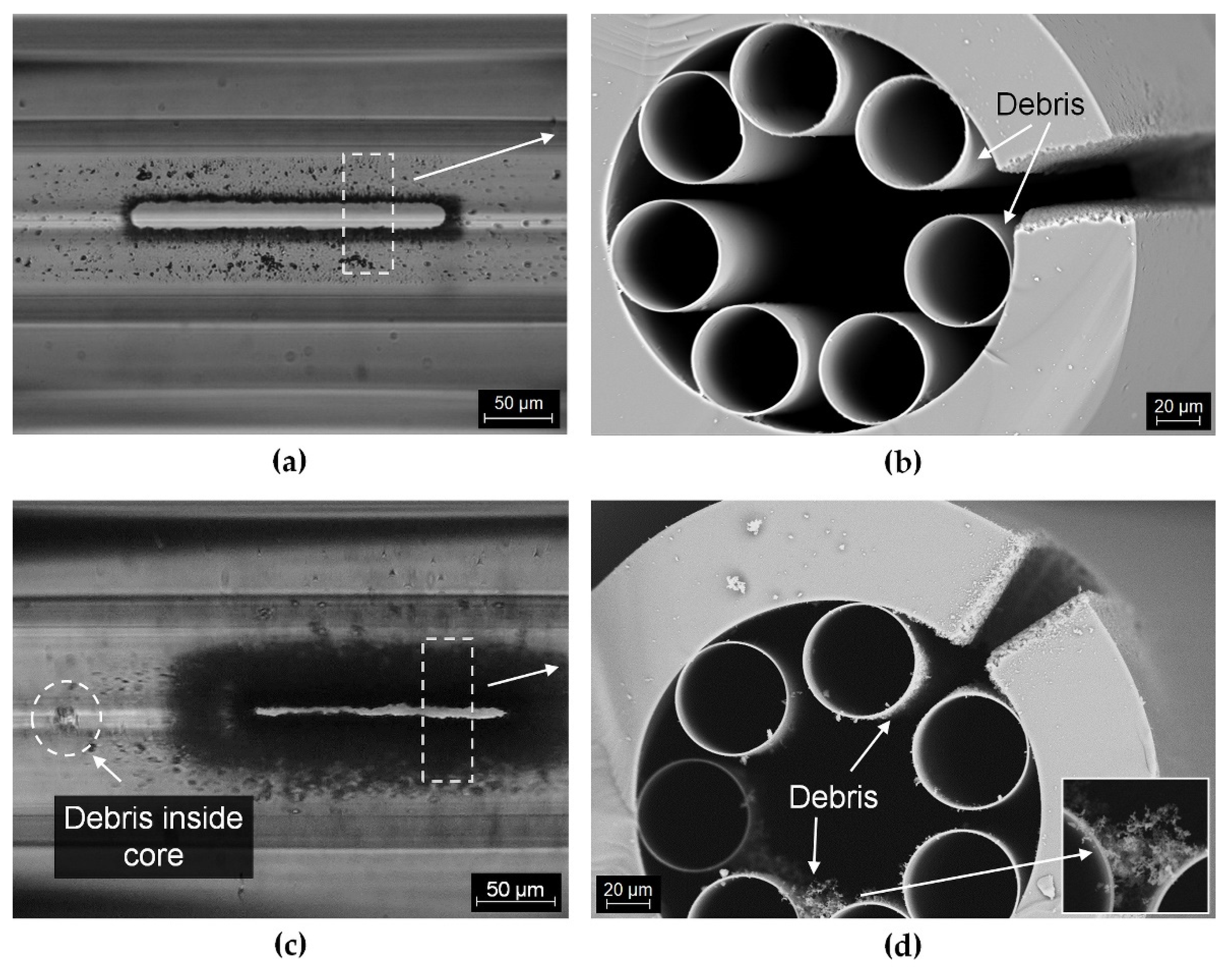 Sensors 21 07591 g008