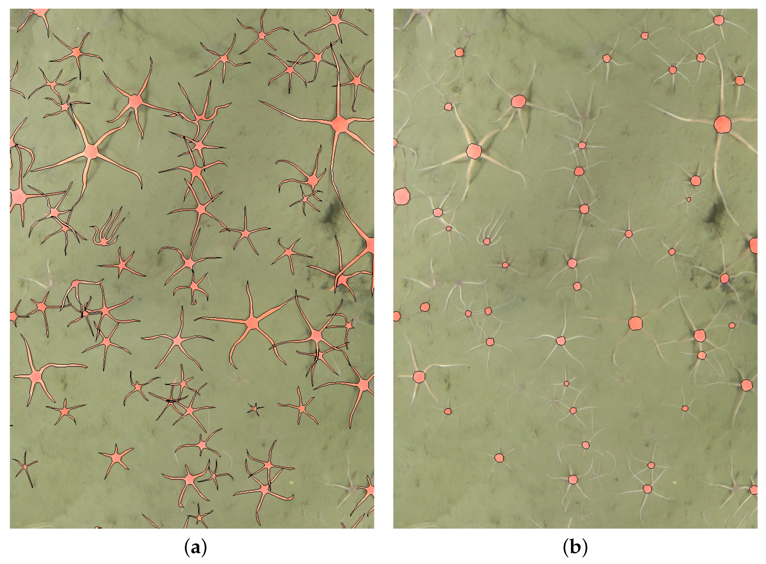 Sensors 21 07598 g002