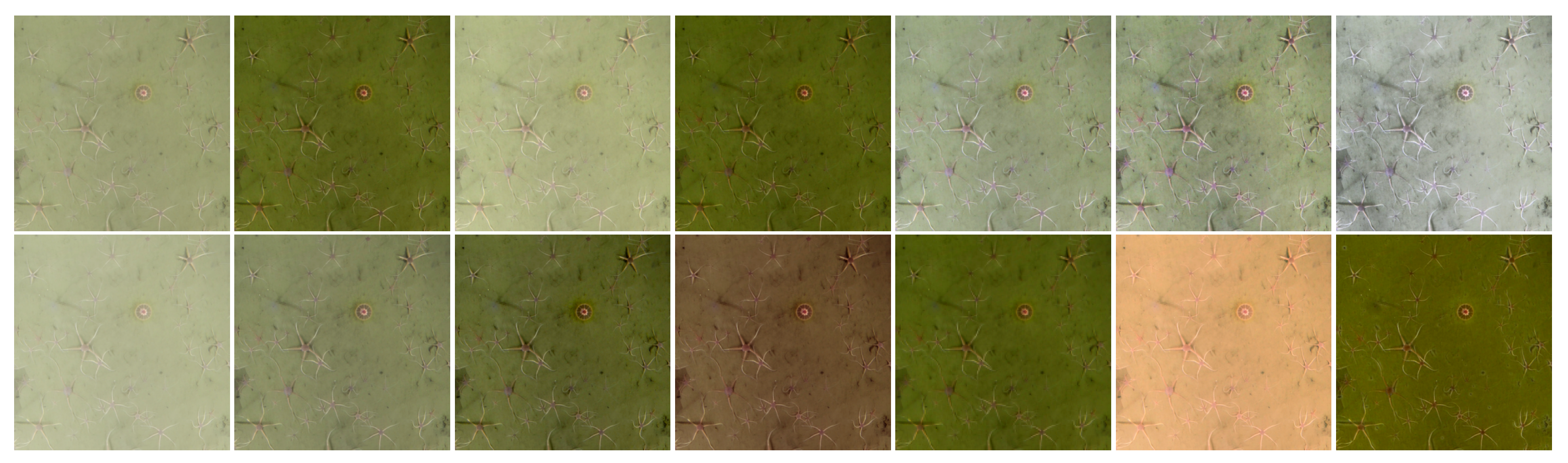 Sensors 21 07598 g003