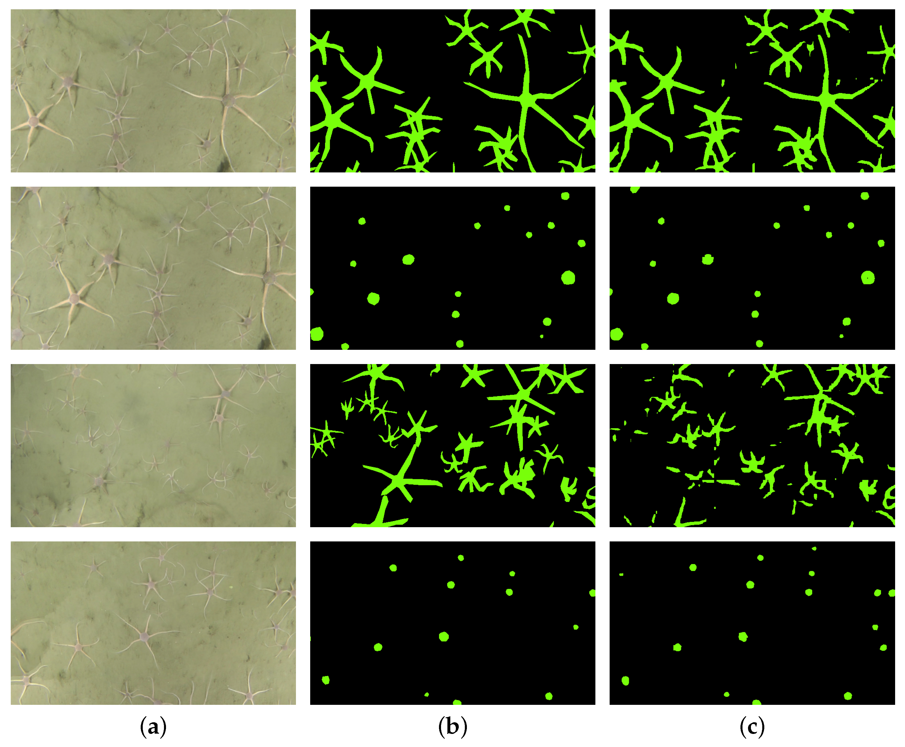 Sensors 21 07598 g006