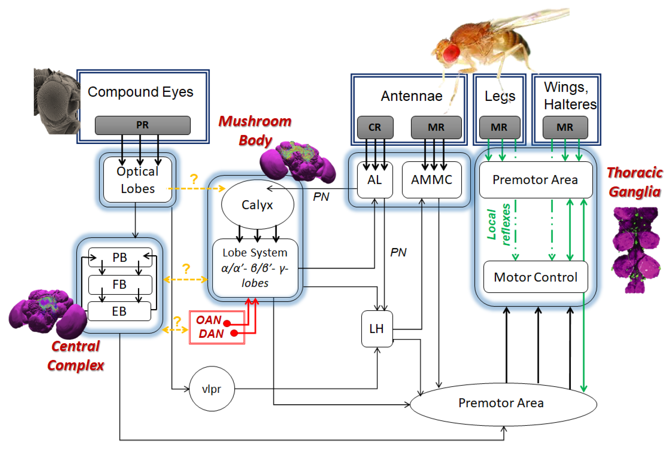 Sensors 21 07609 g009