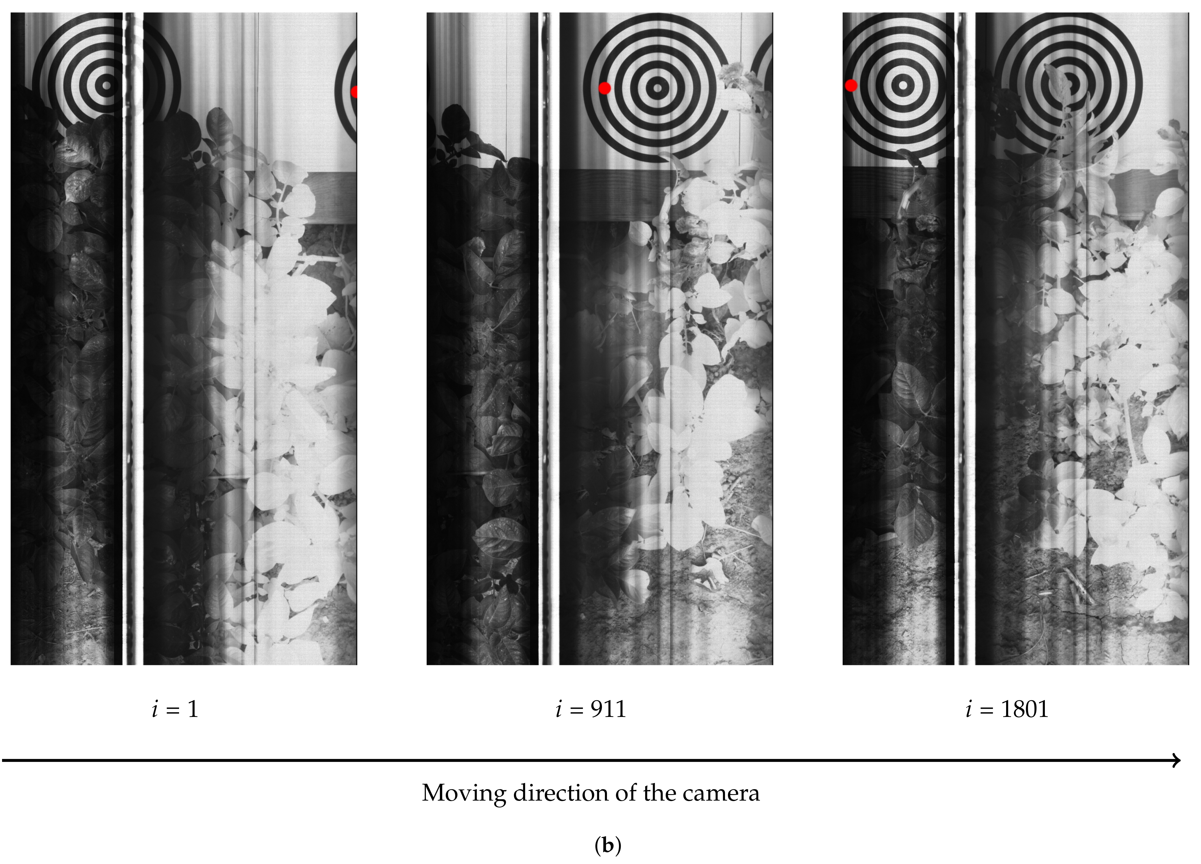 Sensors 21 07616 g002b
