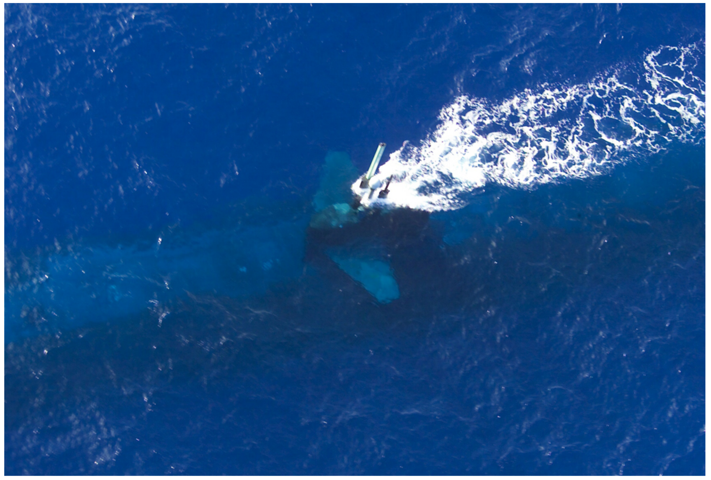 Sensors 21 07624 g001