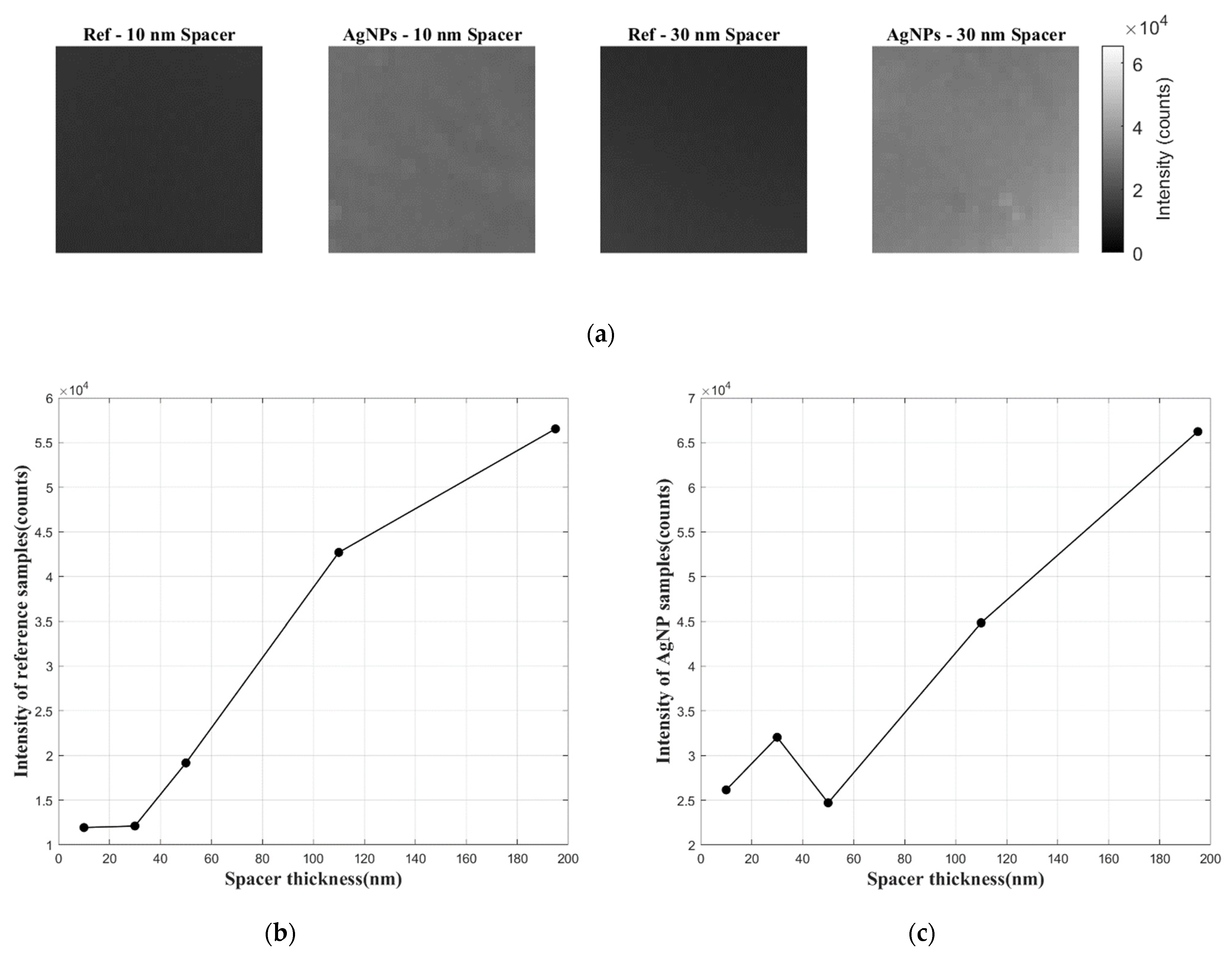 Sensors 21 07627 g006