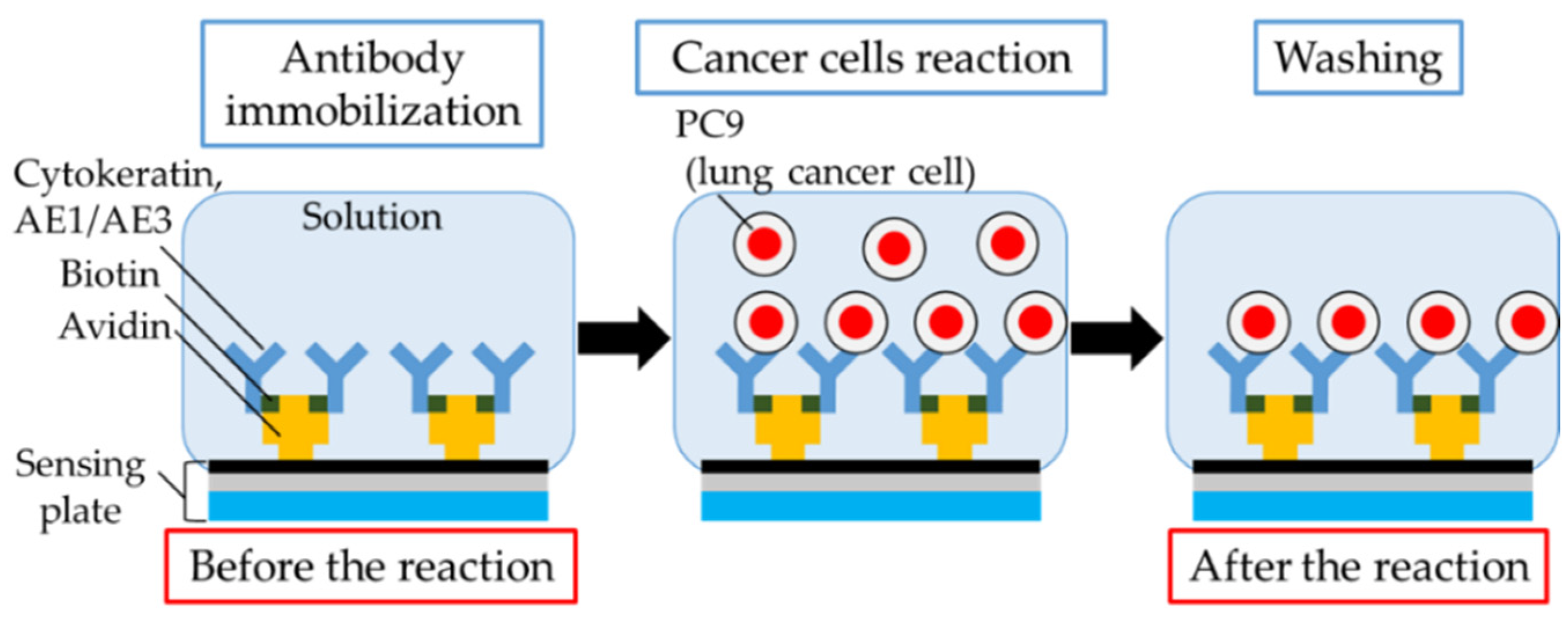 Sensors 21 07631 g003