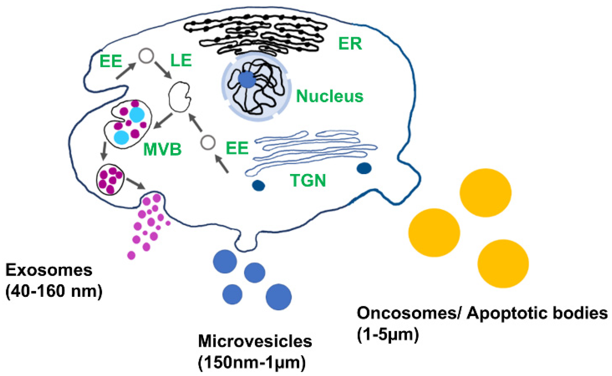 Sensors 21 07645 g001