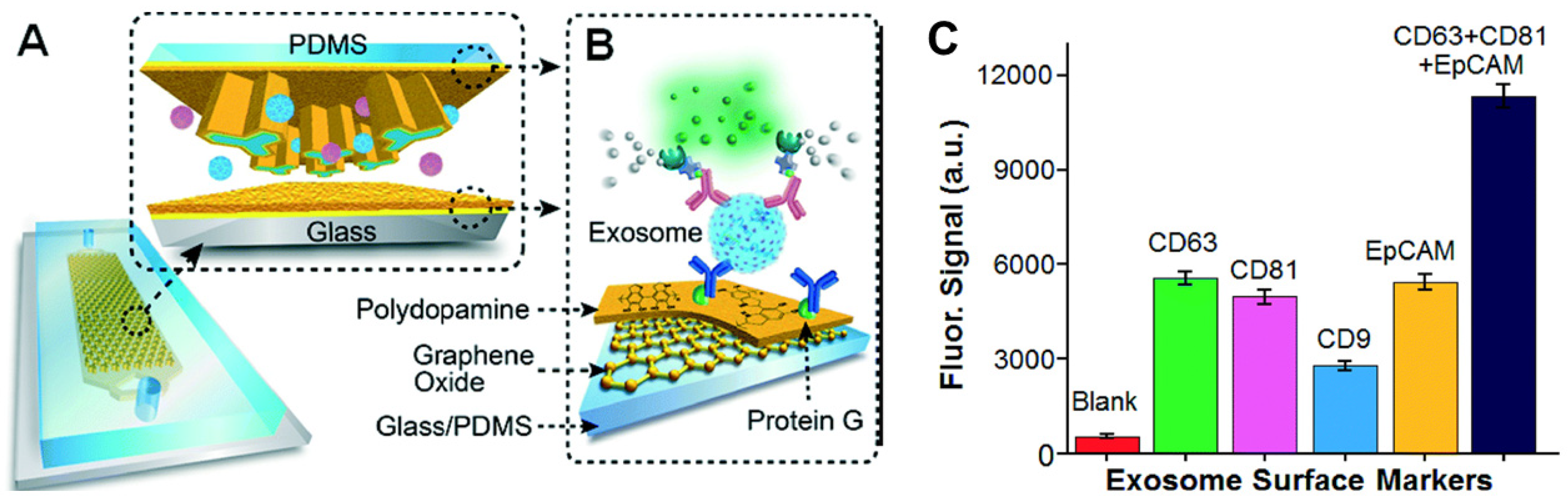 Sensors 21 07645 g008