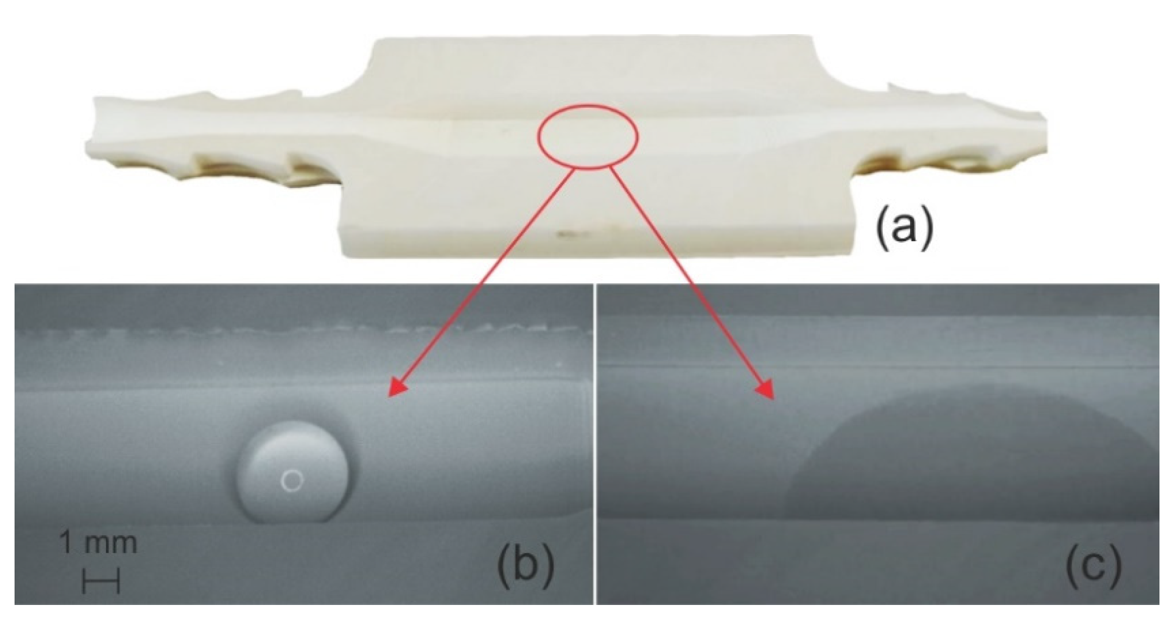 Sensors 21 07654 g006