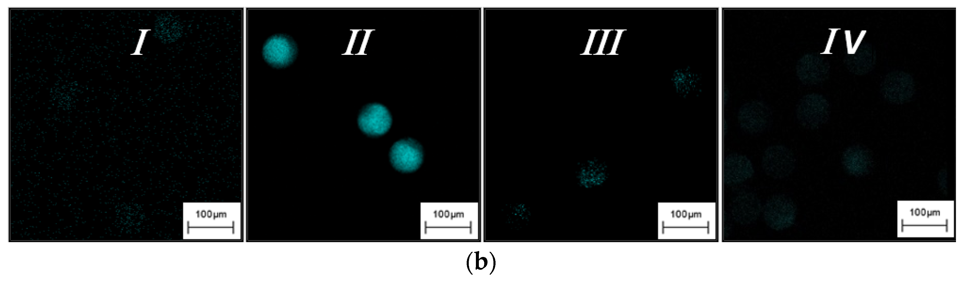Sensors 21 07671 g003b