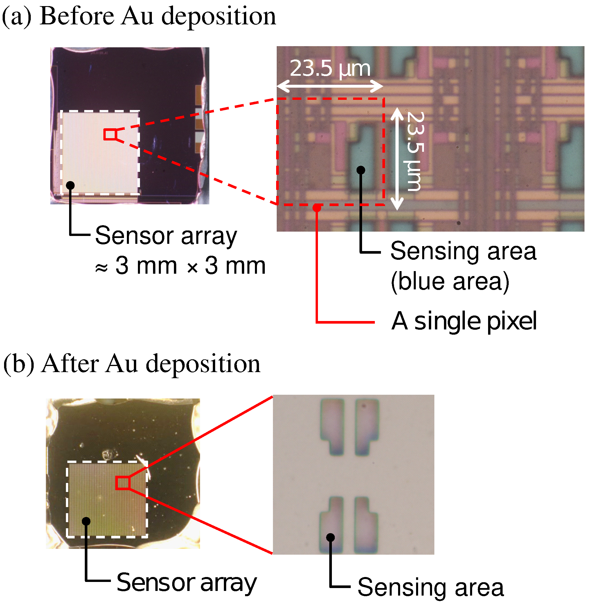 Sensors 21 07682 g003