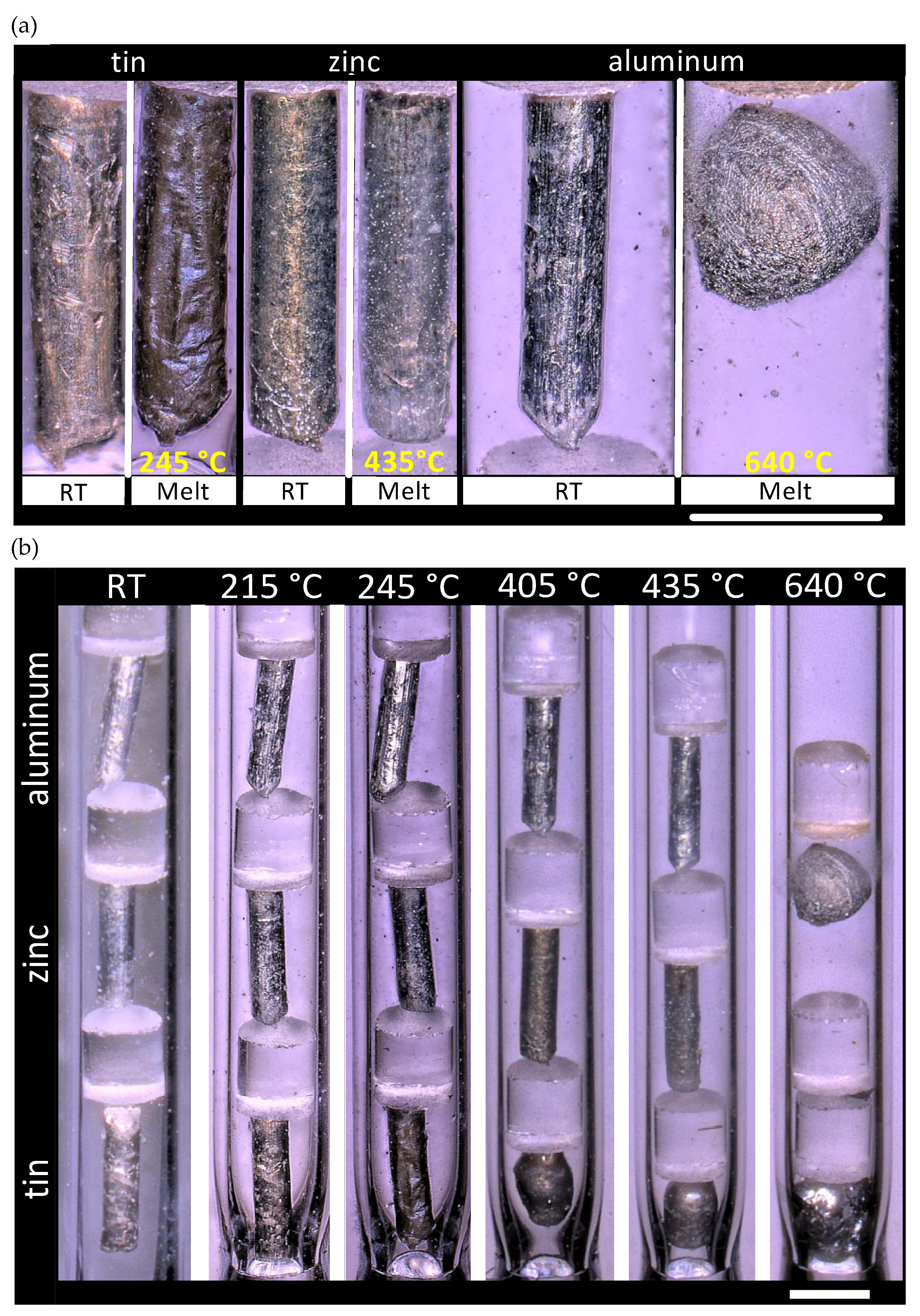 Sensors 21 07688 g005