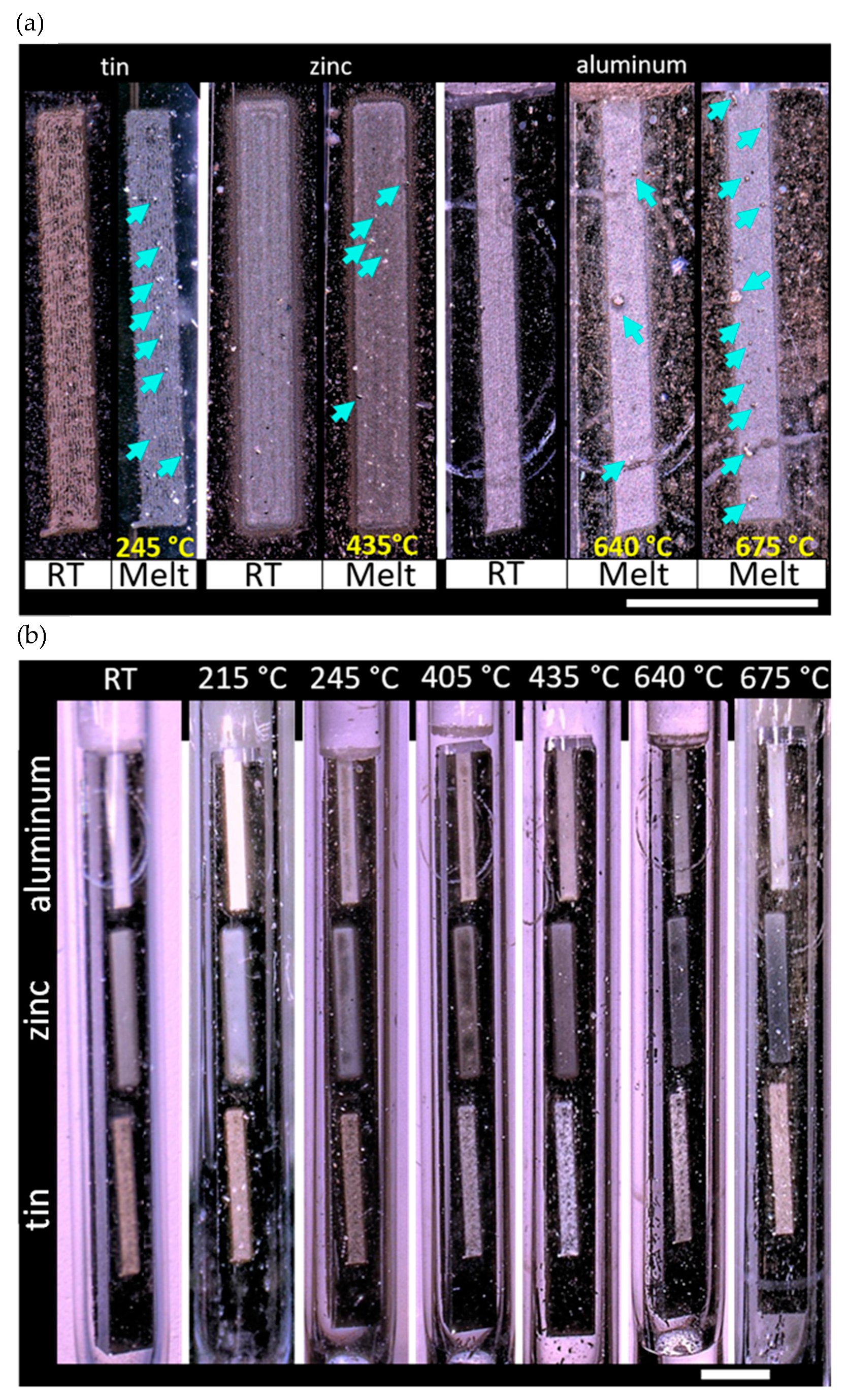 Sensors 21 07688 g006