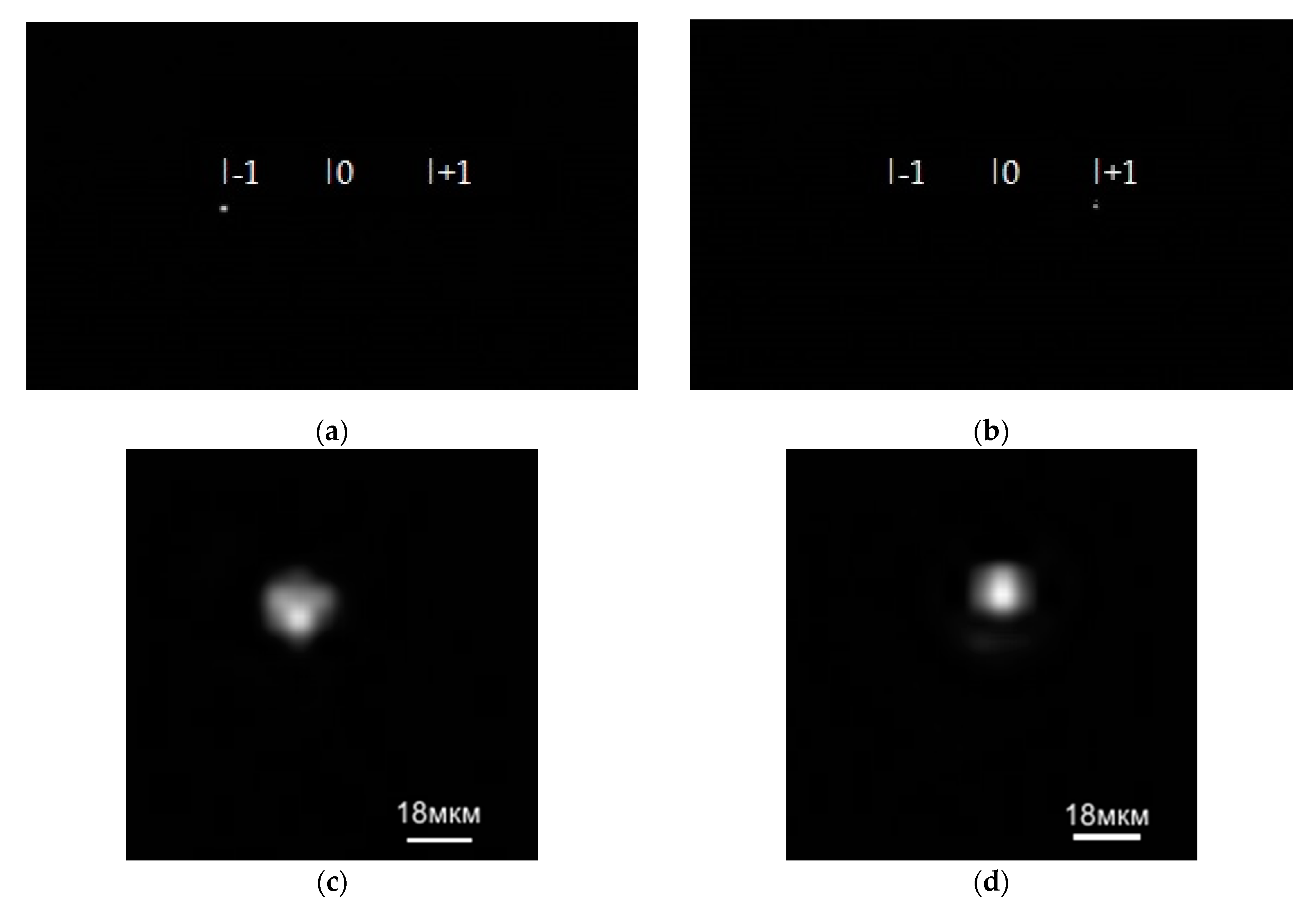 Sensors 21 07694 g004
