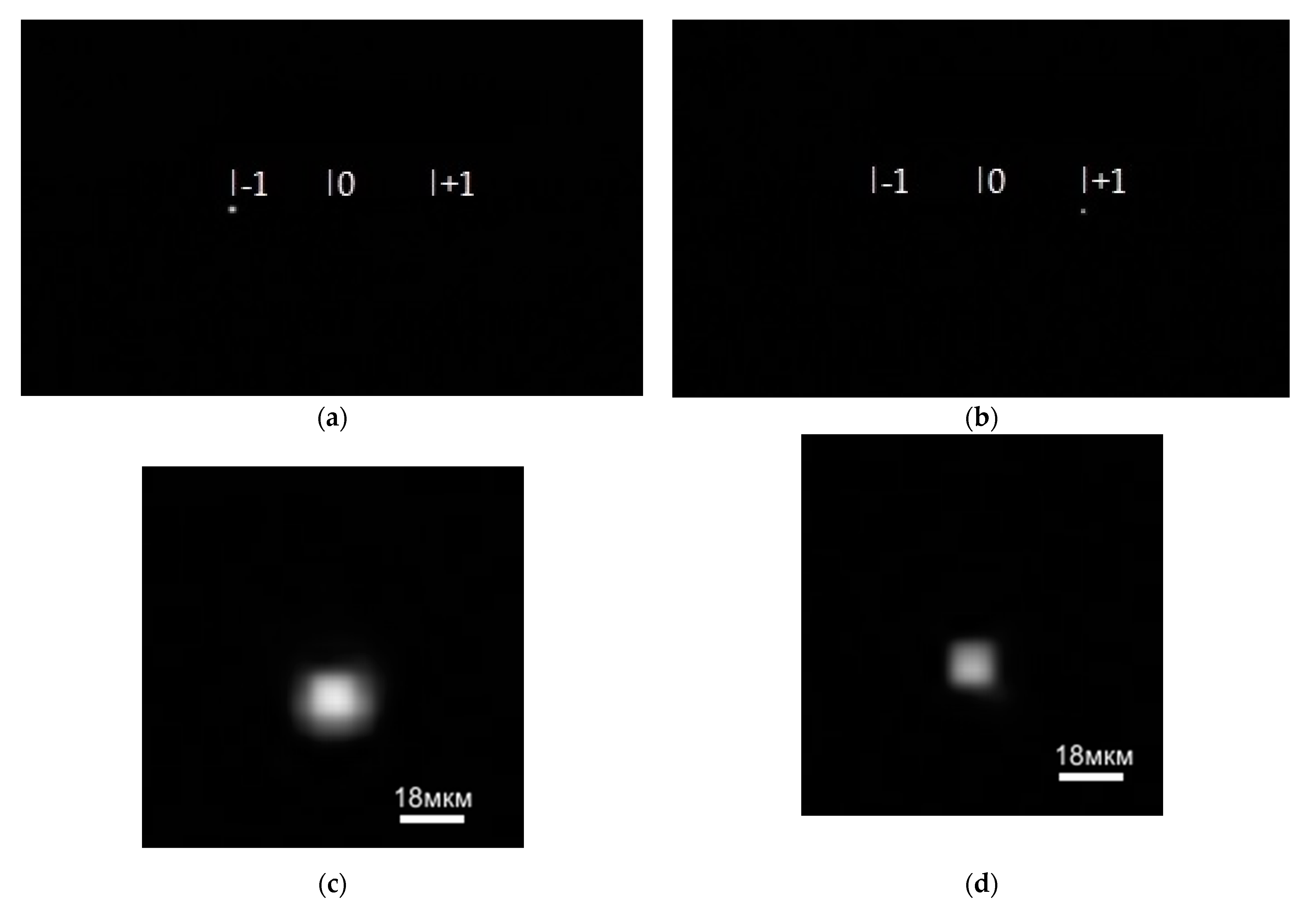 Sensors 21 07694 g005