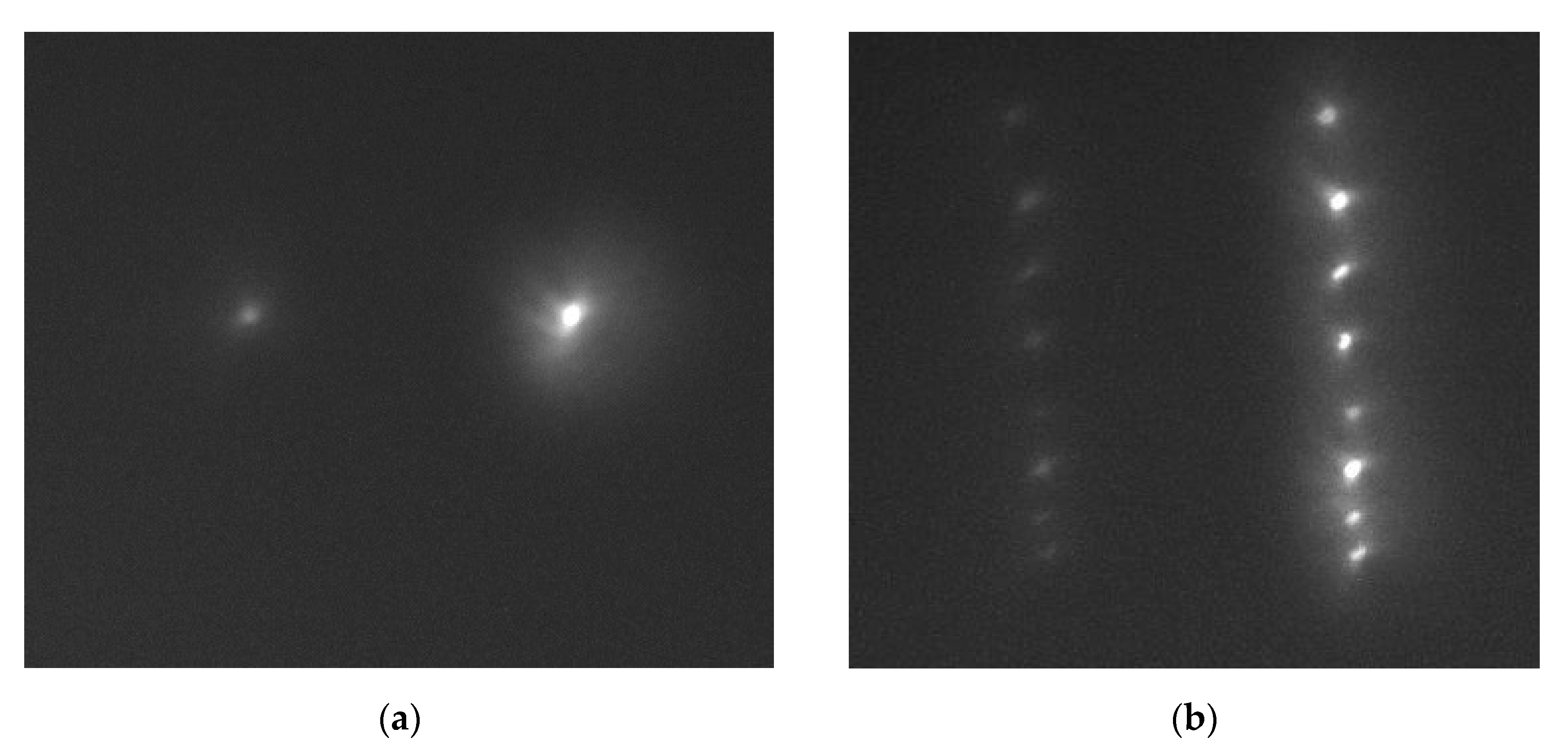 Sensors 21 07694 g007