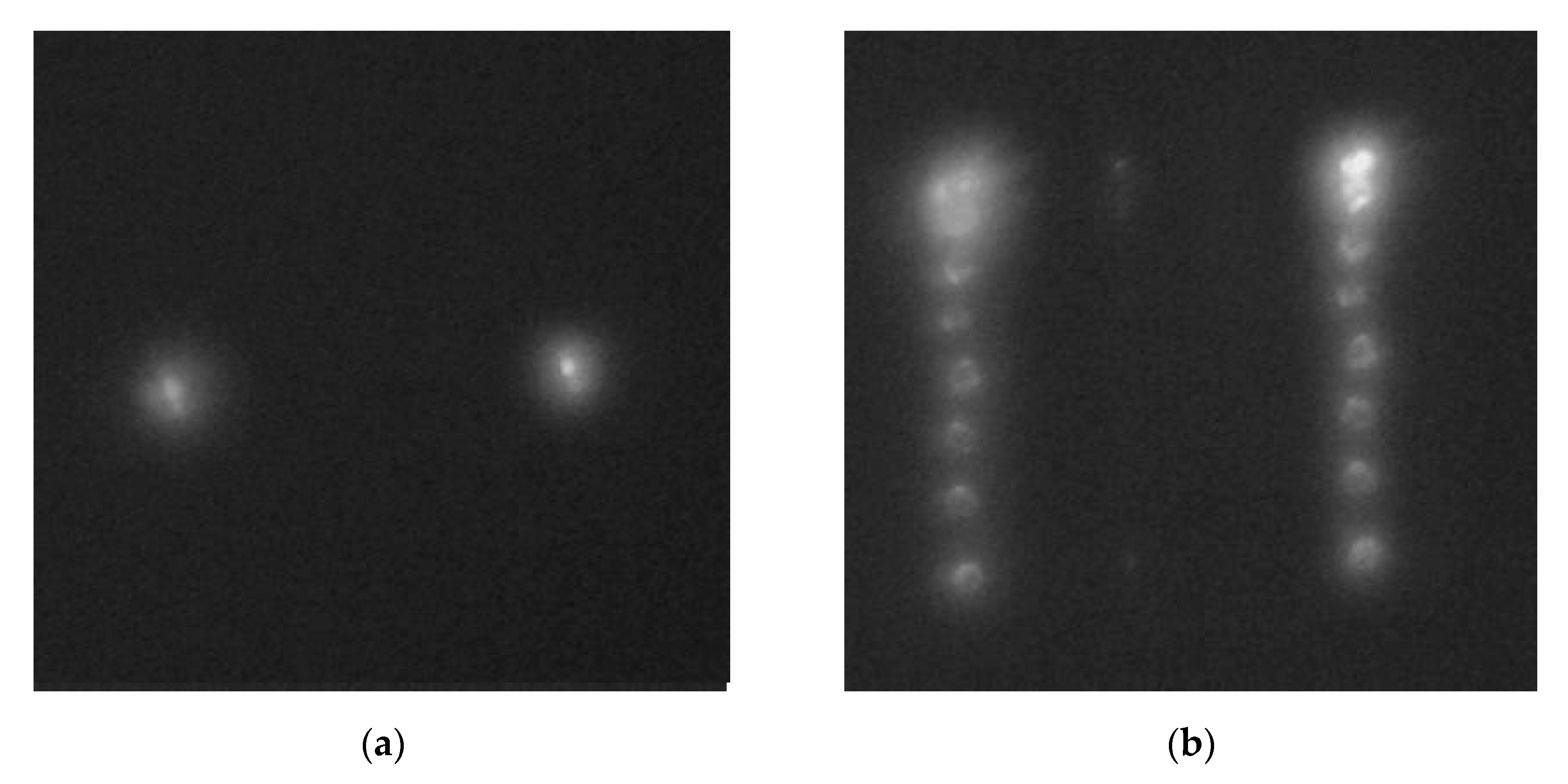 Sensors 21 07694 g009